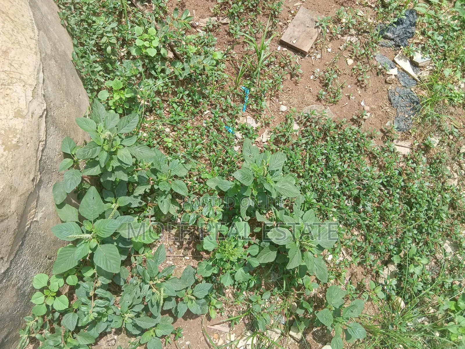 991sqm Cornerpiece 4 Sale Commerl. Mall/Adewumi Leki Phase 1 in Lekki Phase 1