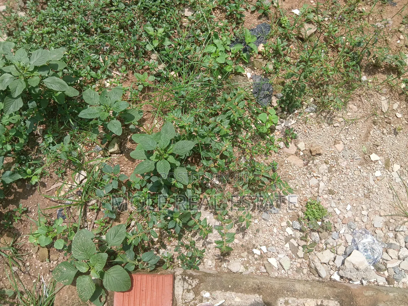 991sqm Cornerpiece 4 Sale Commerl. Mall/Adewumi Leki Phase 1 in Lekki Phase 1