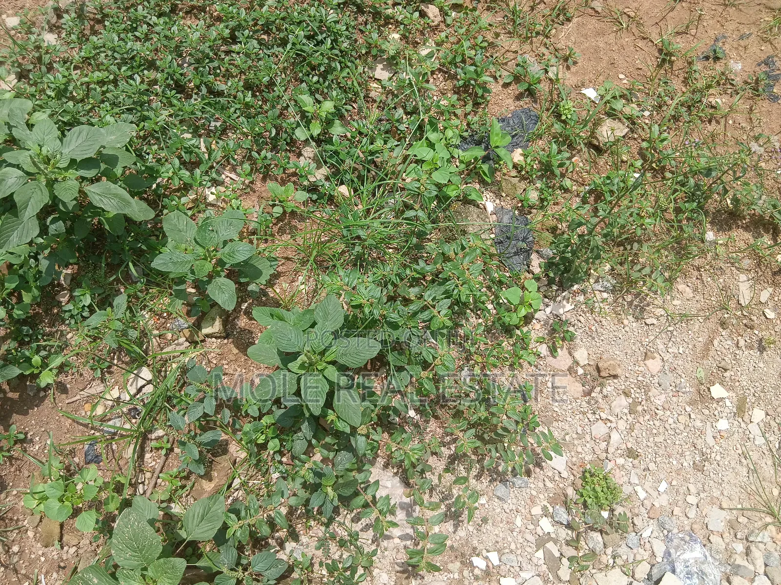 850sqm Plot 4 Sale Olajide Olabanji Street Leki Phase 1 in Lekki Phase 1