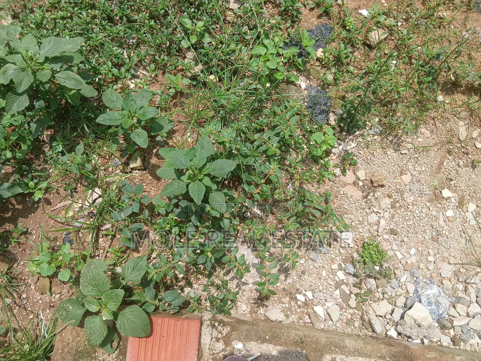 850sqm Plot 4 Sale Olajide Olabanji Street Leki Phase 1 in Lekki Phase 1