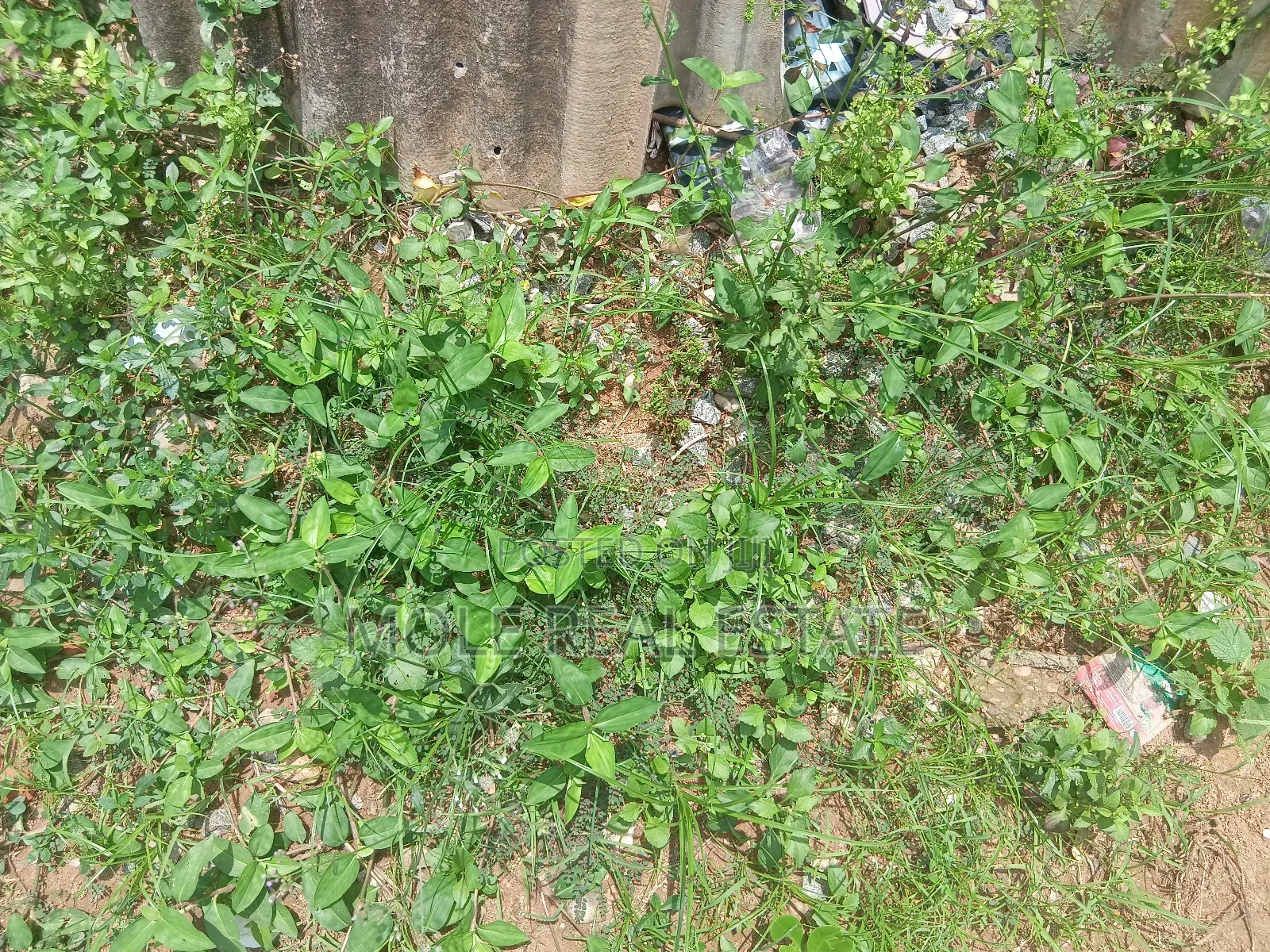 979sqm Plot 4 Sale Ben Okagbue Leki Phase 1 in Lekki Phase 1