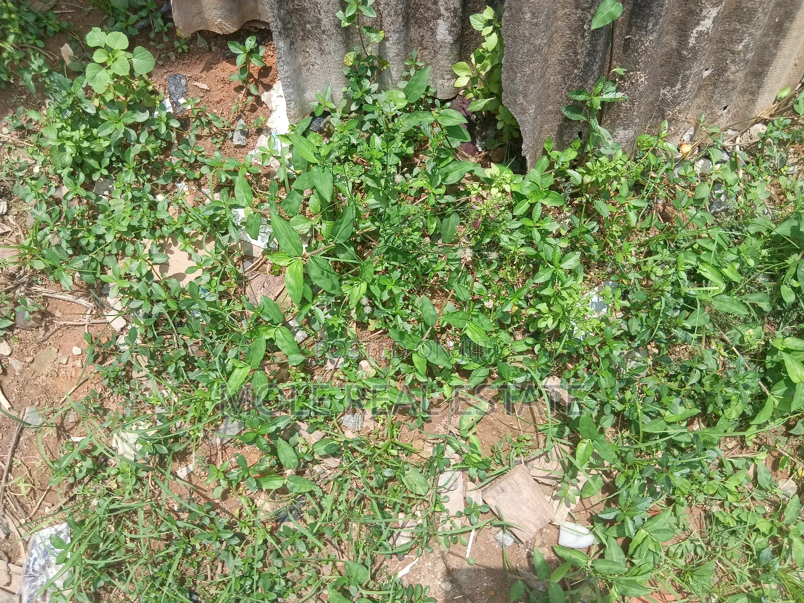 1000sqm Plot Ayinde Akinmade Off Admiralty Leki in Lekki Phase 1