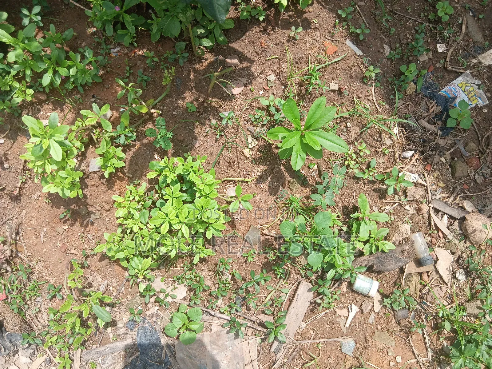 1000sqm Plot Ayinde Akinmade Off Admiralty Leki in Lekki Phase 1