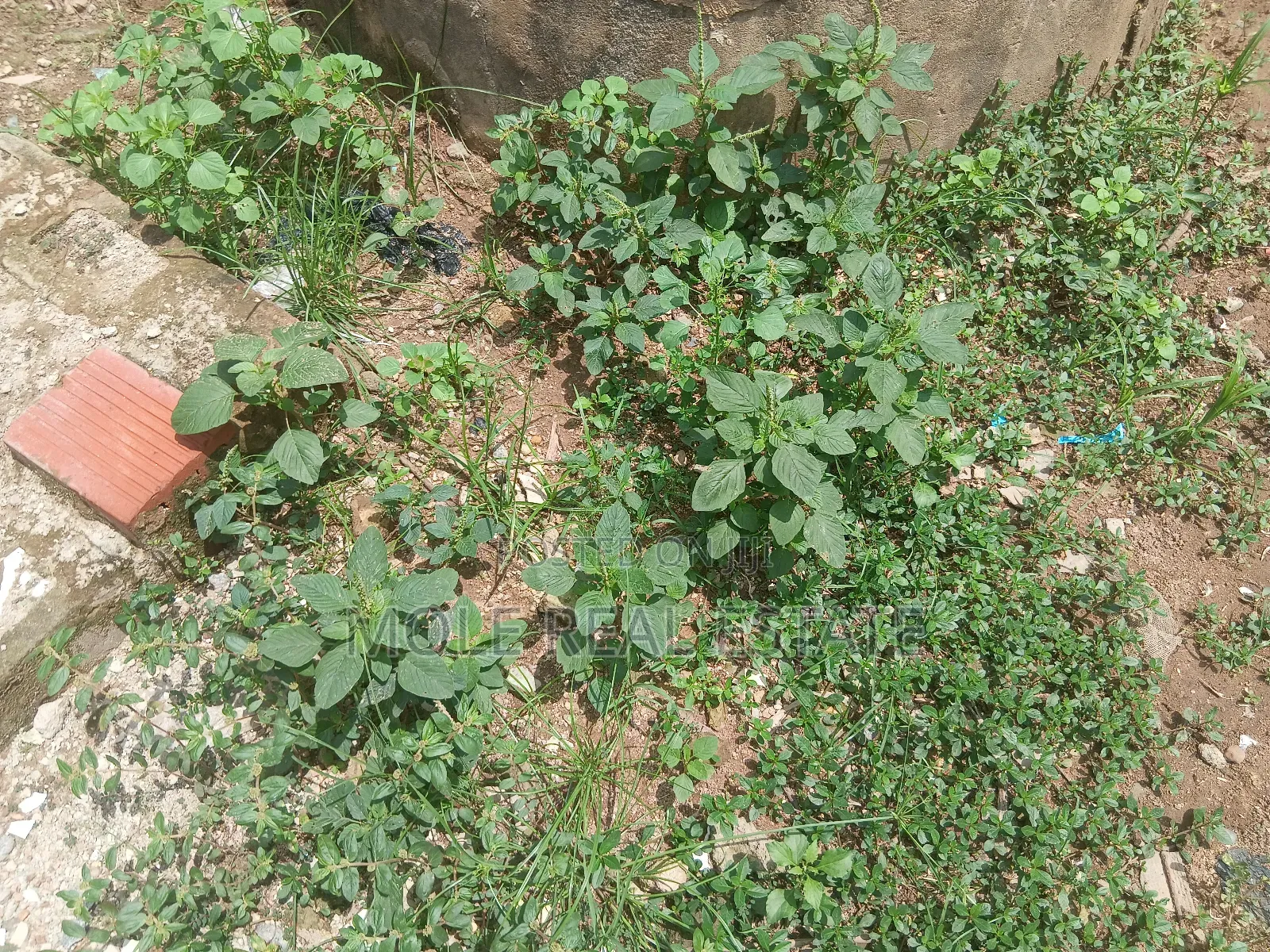 1, 030sqm Ogbunike Off Wole Olateju (A Series ) in Lekki Phase 1
