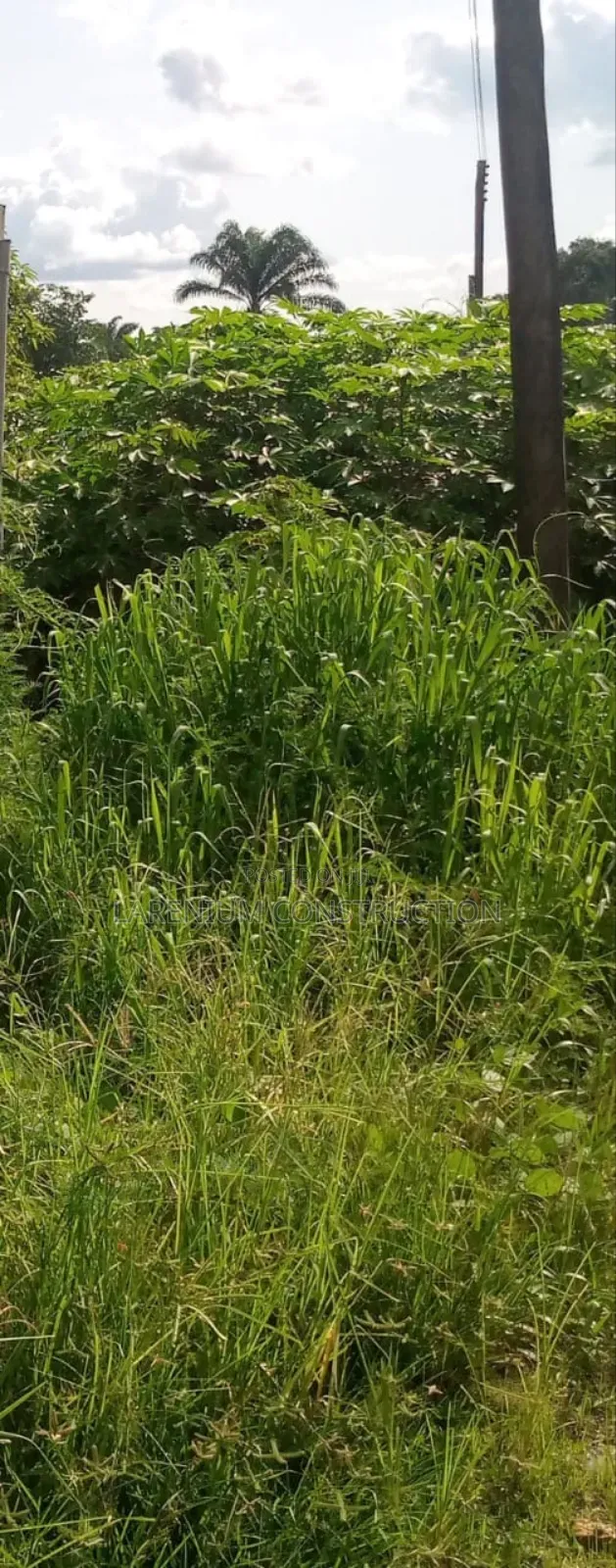 Lands for Sale at Onihale Abeokuta Expressway Way. in Ifo