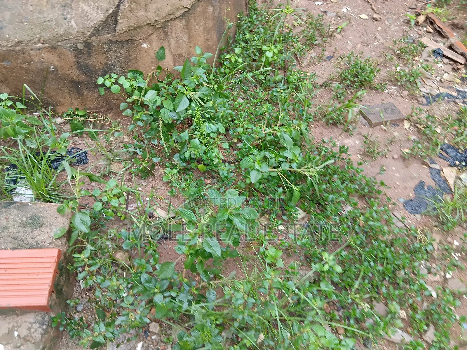 1655sqm Plot Amodu Tijani Victoria Island in Victoria Island