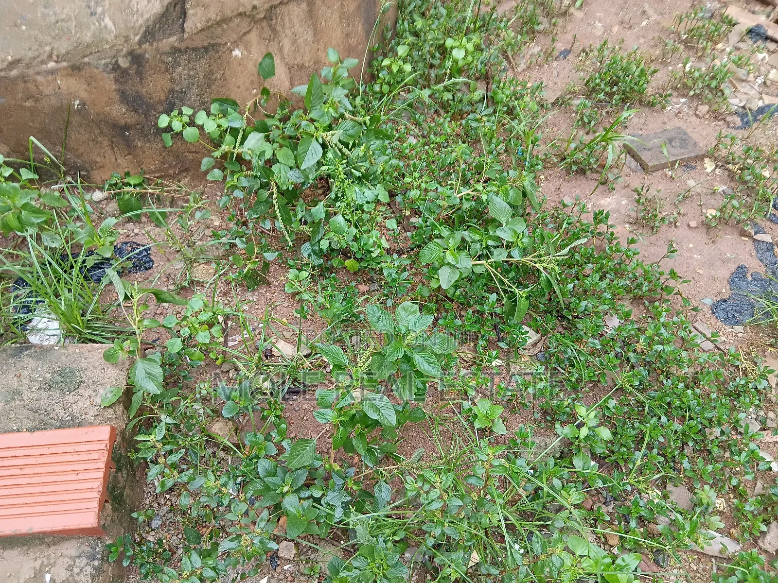 1225 SQM Plot Kayode Abraham Road Victoria Island in Victoria Island