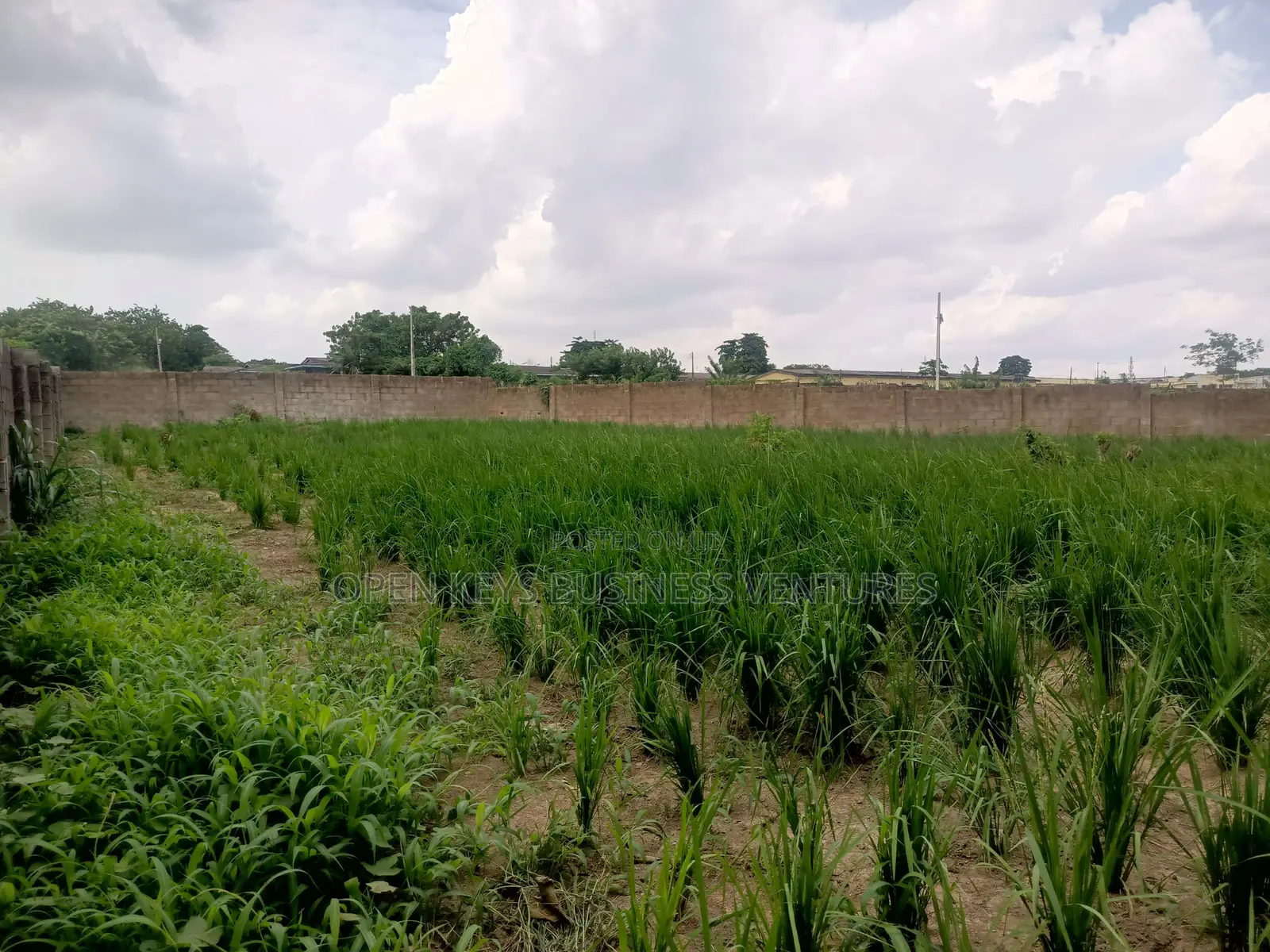 A Fenced Residential Land Measuring 848sqm in an Estate in Rind Road
