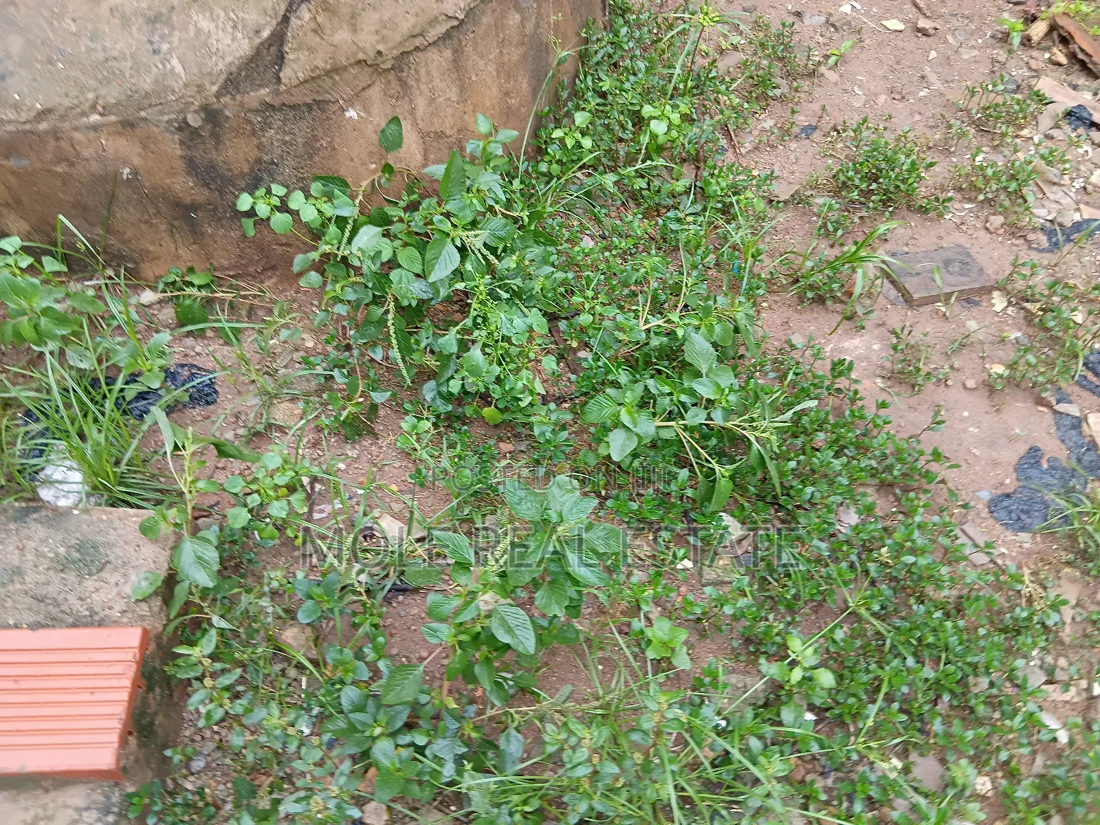 4348 SQM Adeola Odeku Victoria Island in Victoria Island