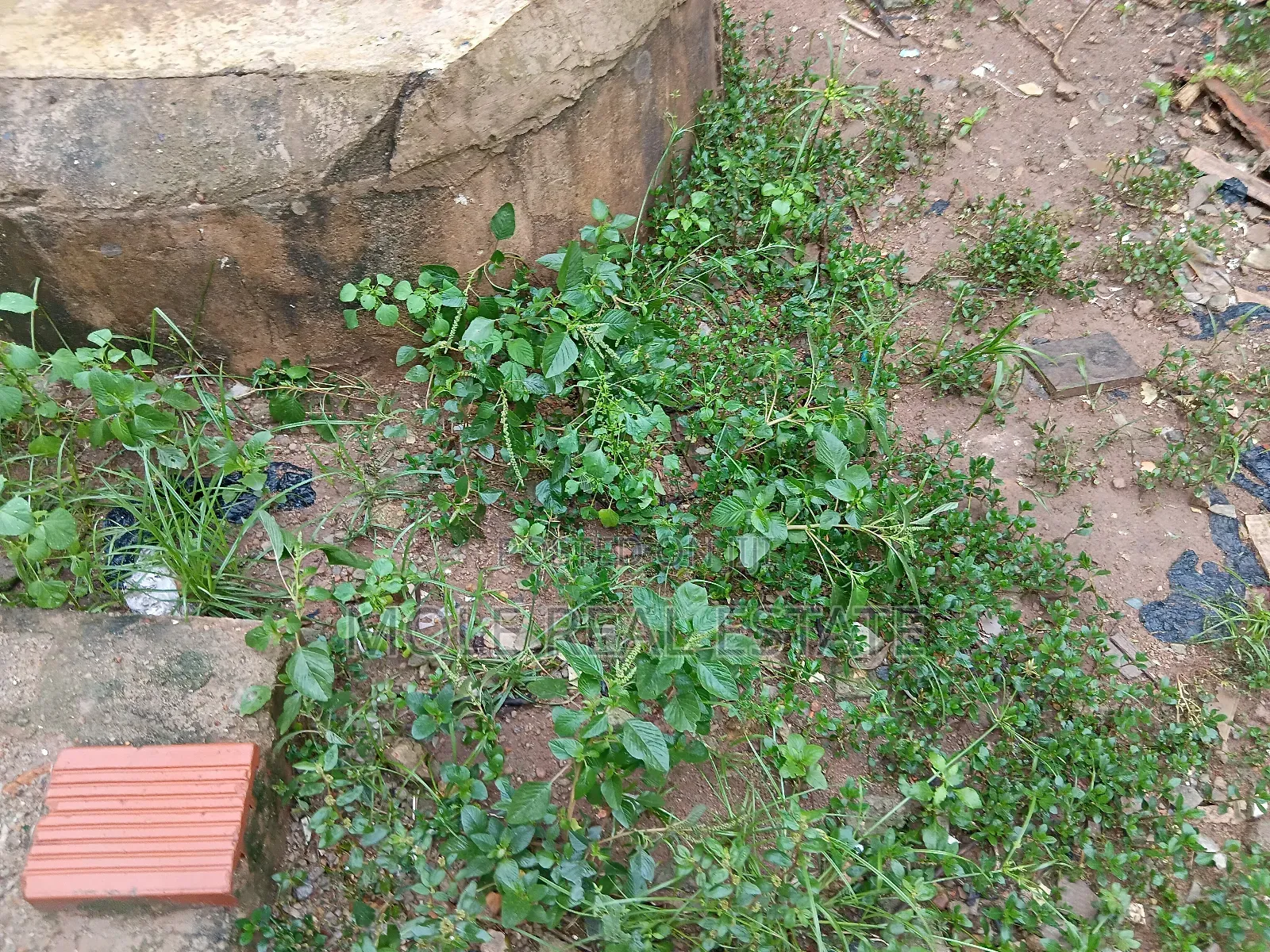 1 605 955 SQM Muri Okunola Street Victoria Island in Victoria Island