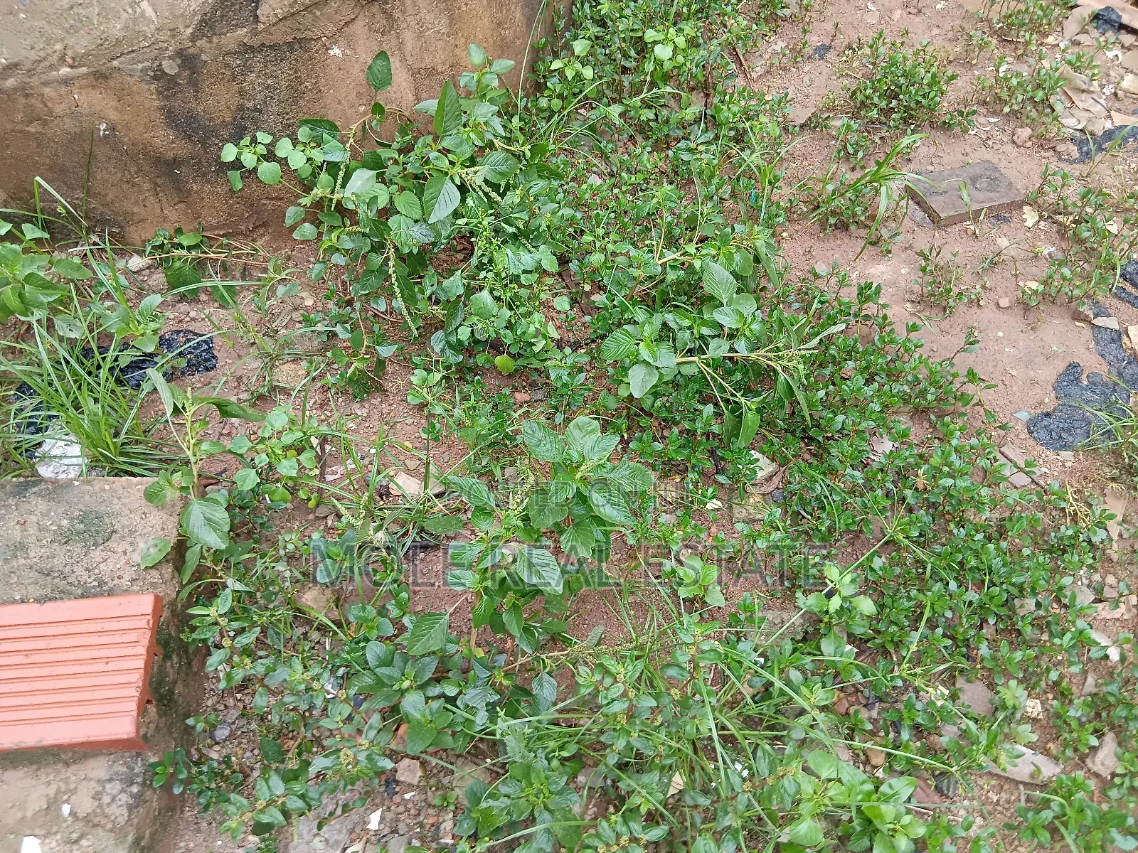 2500sqm Adeola Adeku Street Victoria Island in Victoria Island