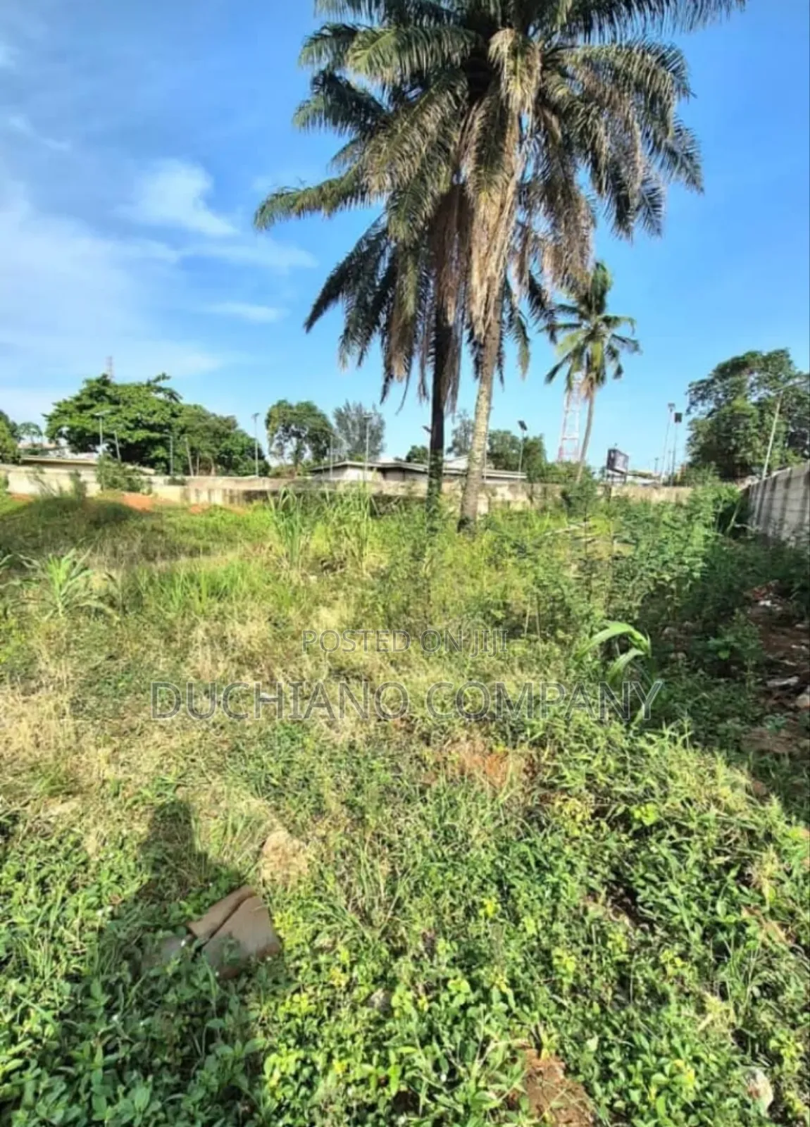 Isaac John, Ikeja Gra: Large Expanse of Land for Sale in Ikeja GRA