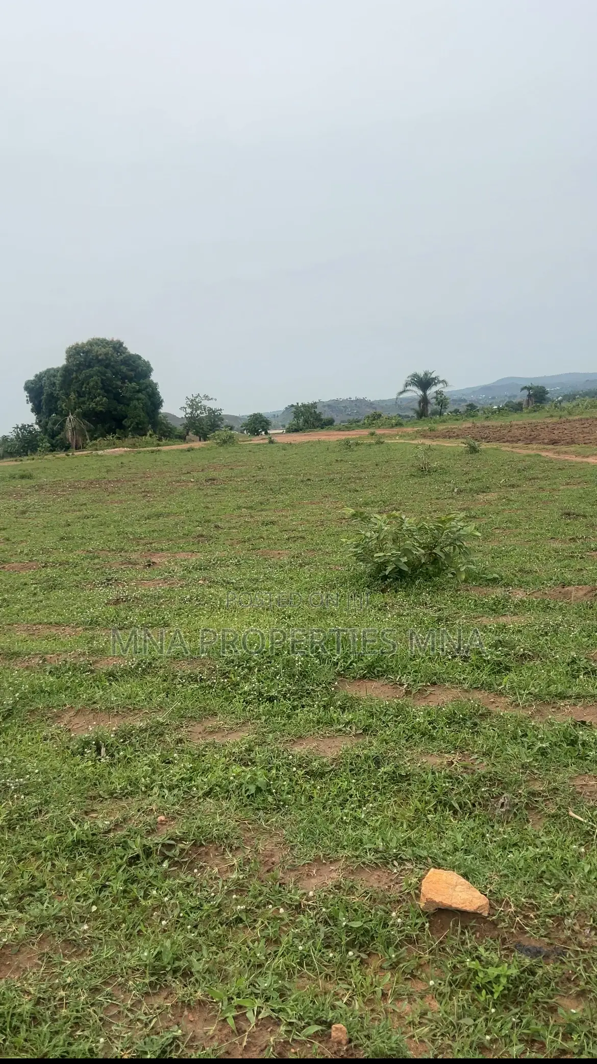 Elysian Residence Kabusa in Kabusa