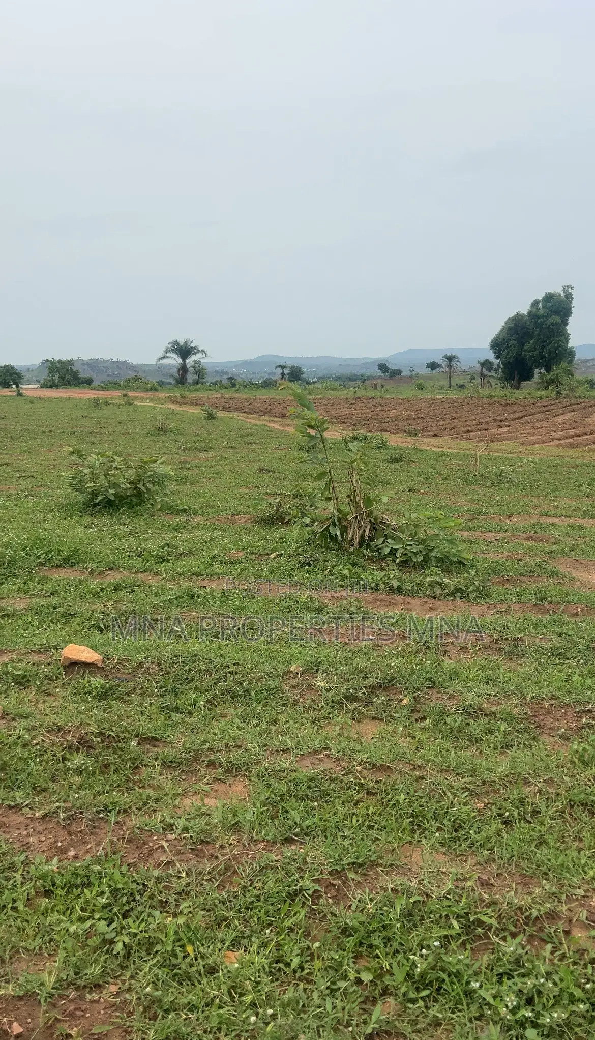 Elysian Residence Kabusa in Kabusa