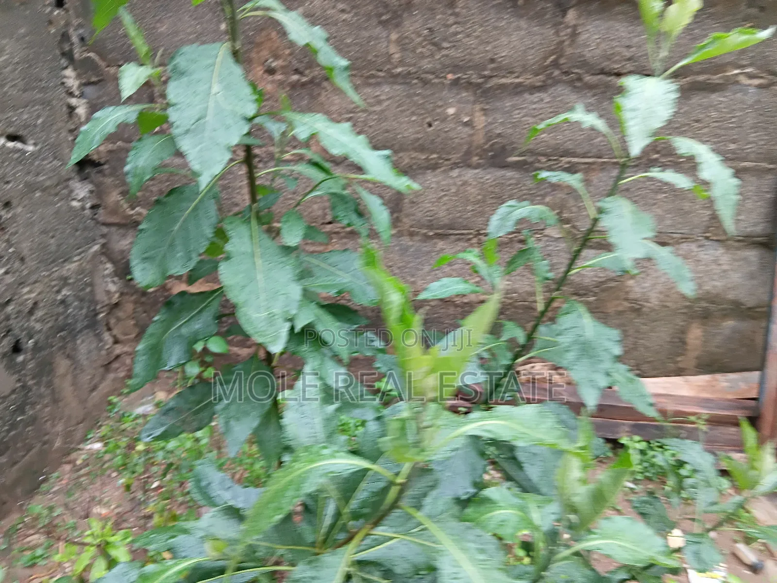 17 Acres Industrial Ashara Town Ogun State in Obafemi-Owode