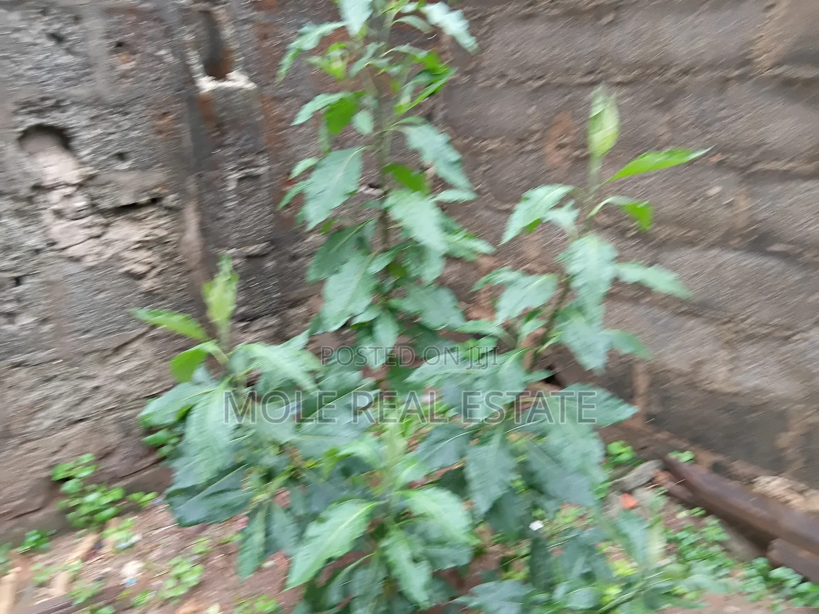 4 Acres Of Land Lagos Ibadan Olowotedo Bustop in Obafemi-Owode