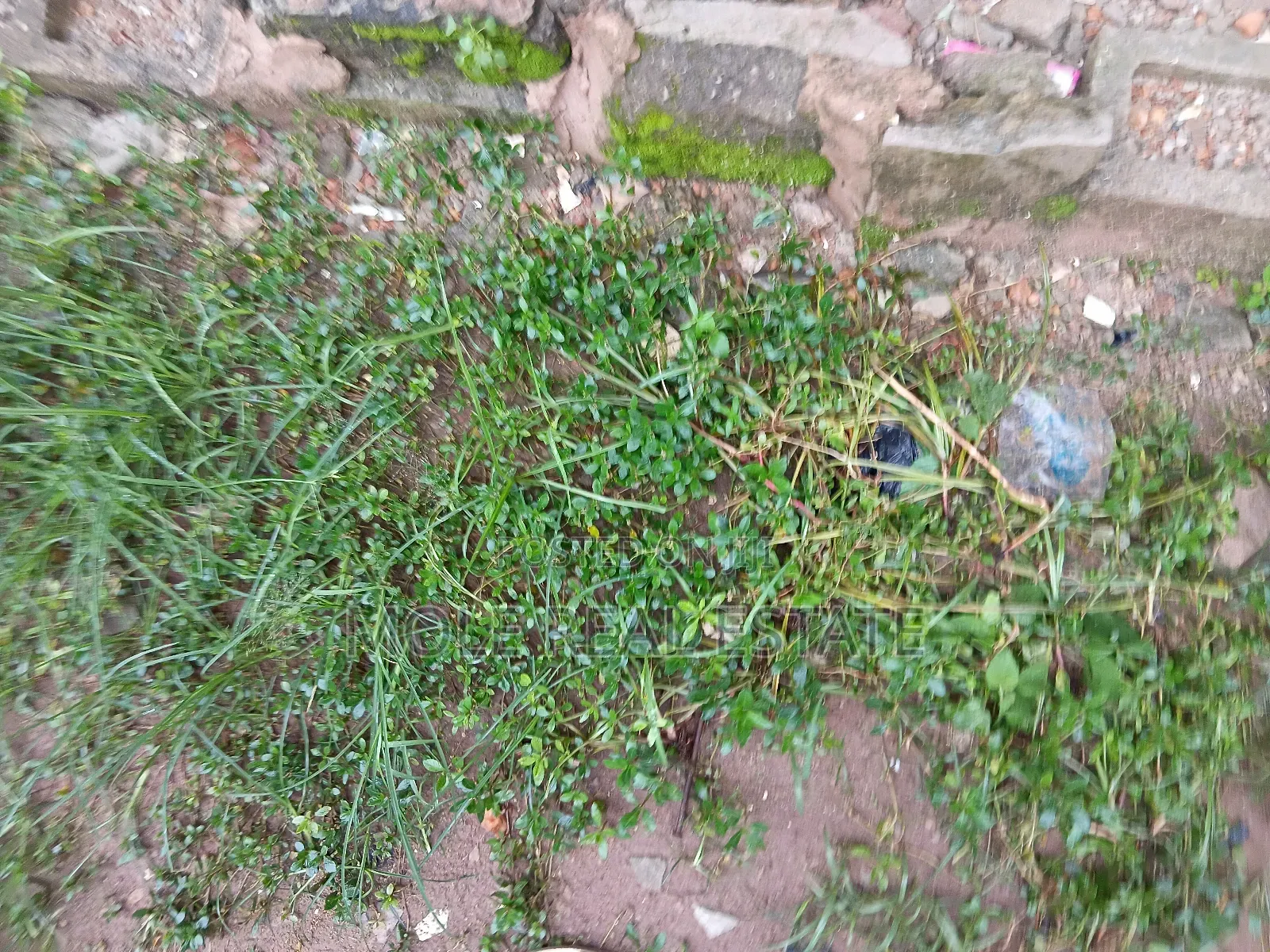 1895sqm Fola Daniels Off Admiralty Way Leki in Lekki Phase 1