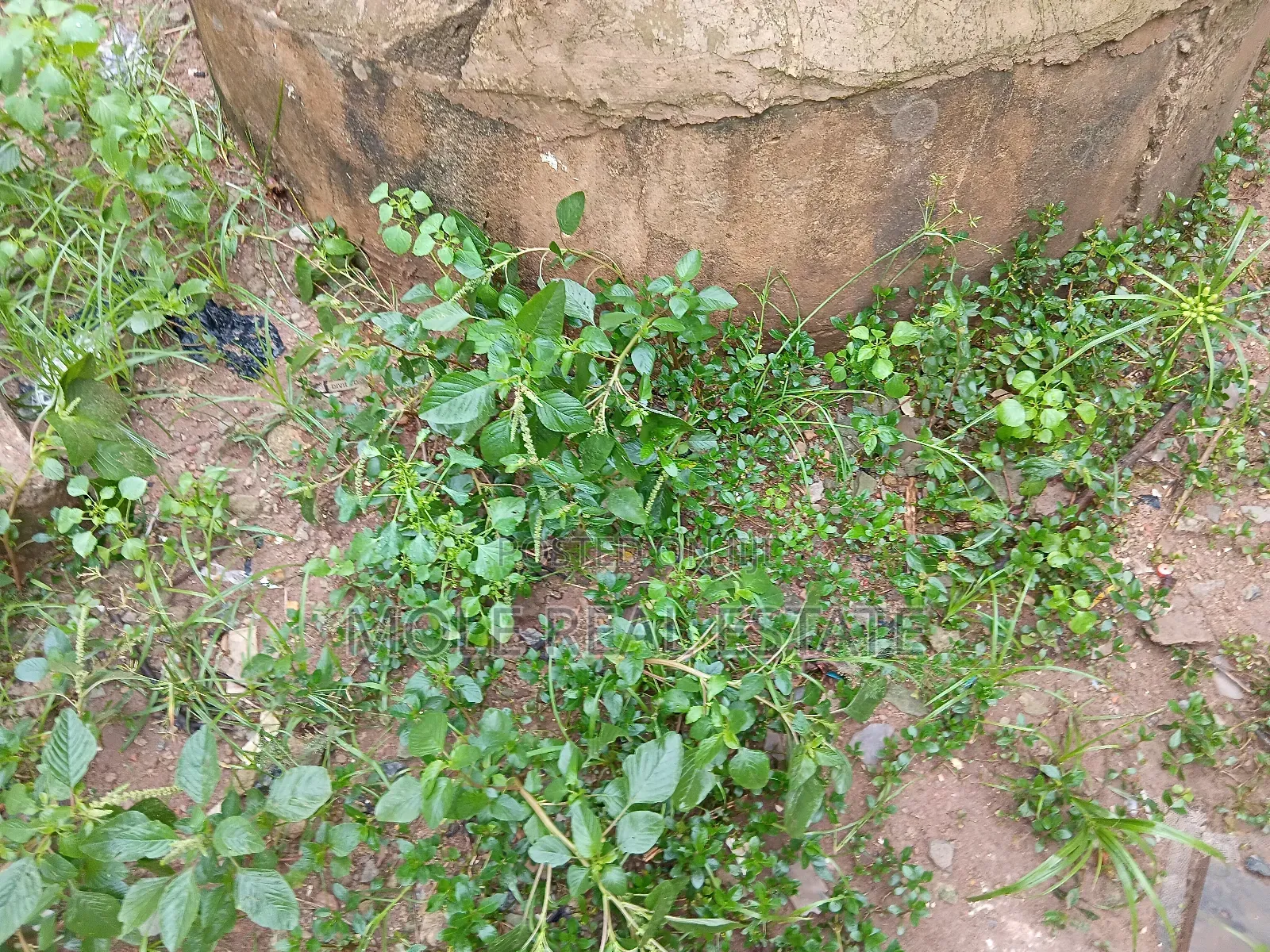 2 Acers (12 Plots) Facing Major Abaranje New Road in Abaranje