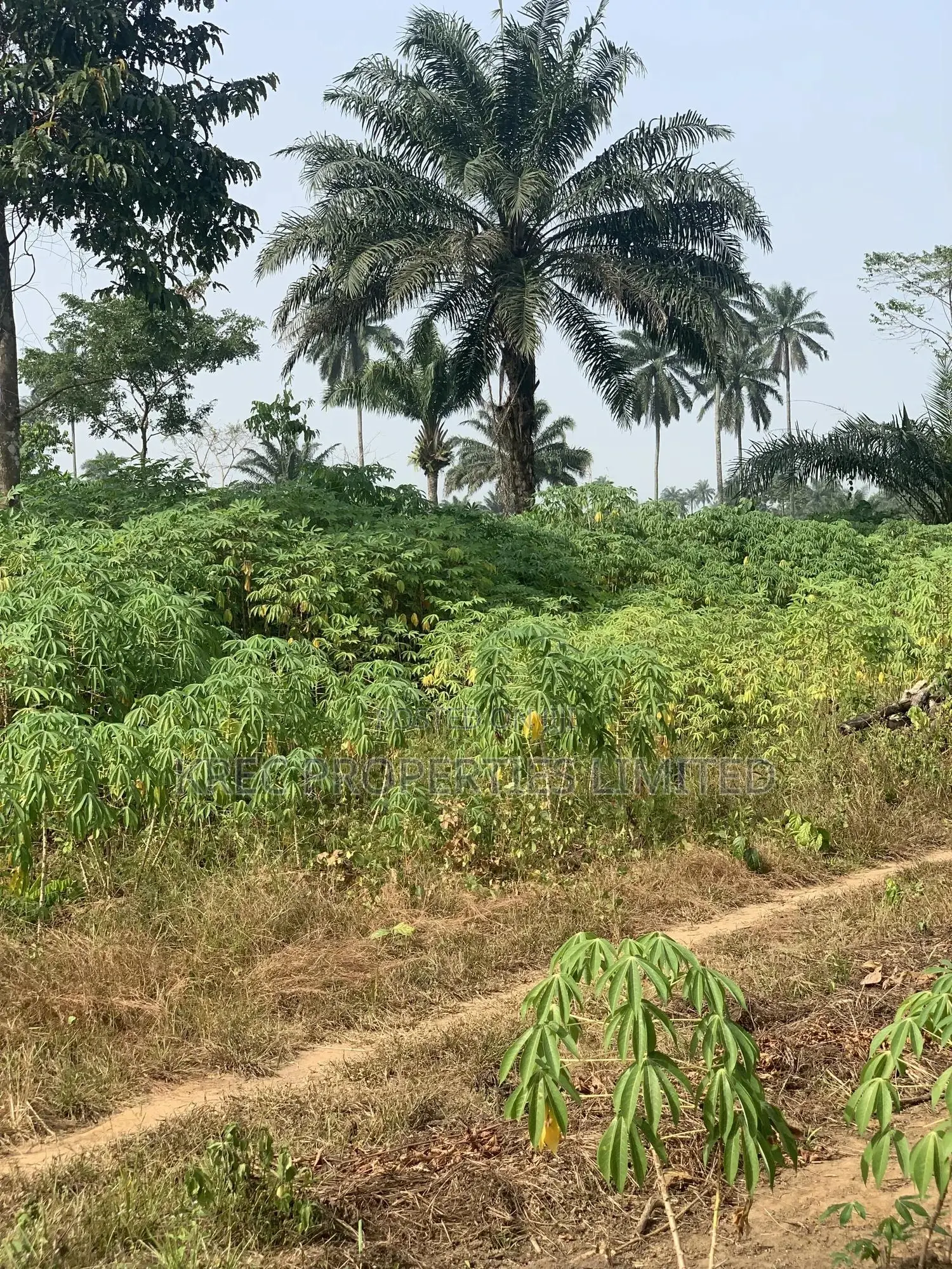 Omuanwa Close Salvation University PHC in Port-Harcourt