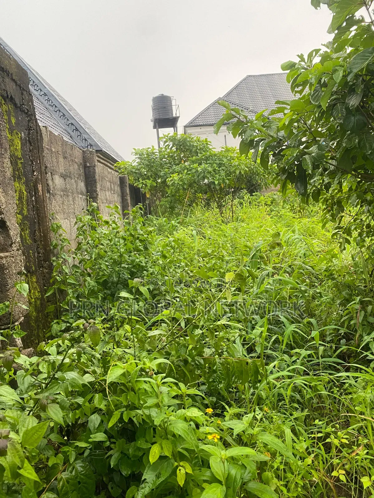 2 Plots Of Land Fenced And Gated For Sale In Owerri in Owerri