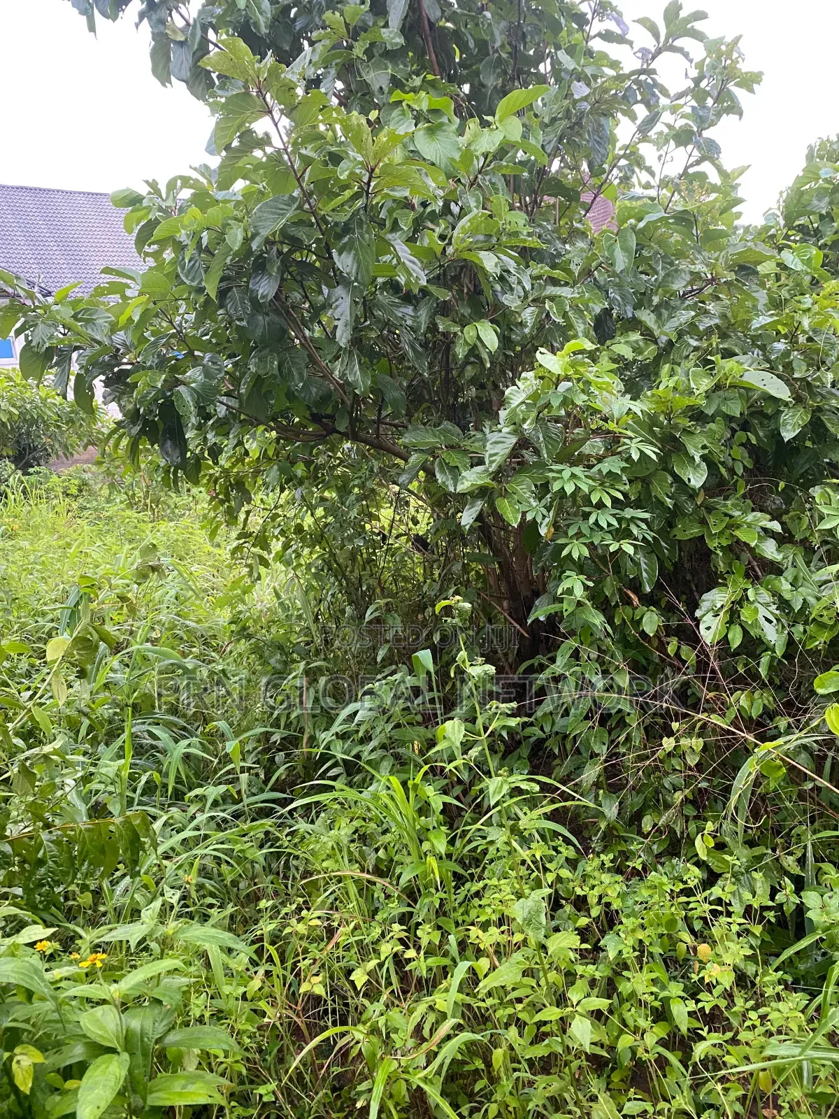 2 Plots Of Land Fenced And Gated For Sale In Owerri in Owerri