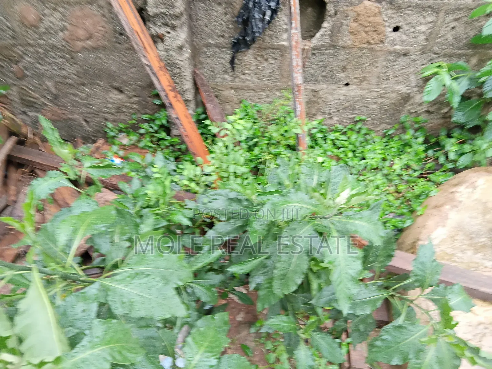 Full Plot of Land 4 Sale Pedro Rd Shomolu Bariga in Bariga / Shomolu