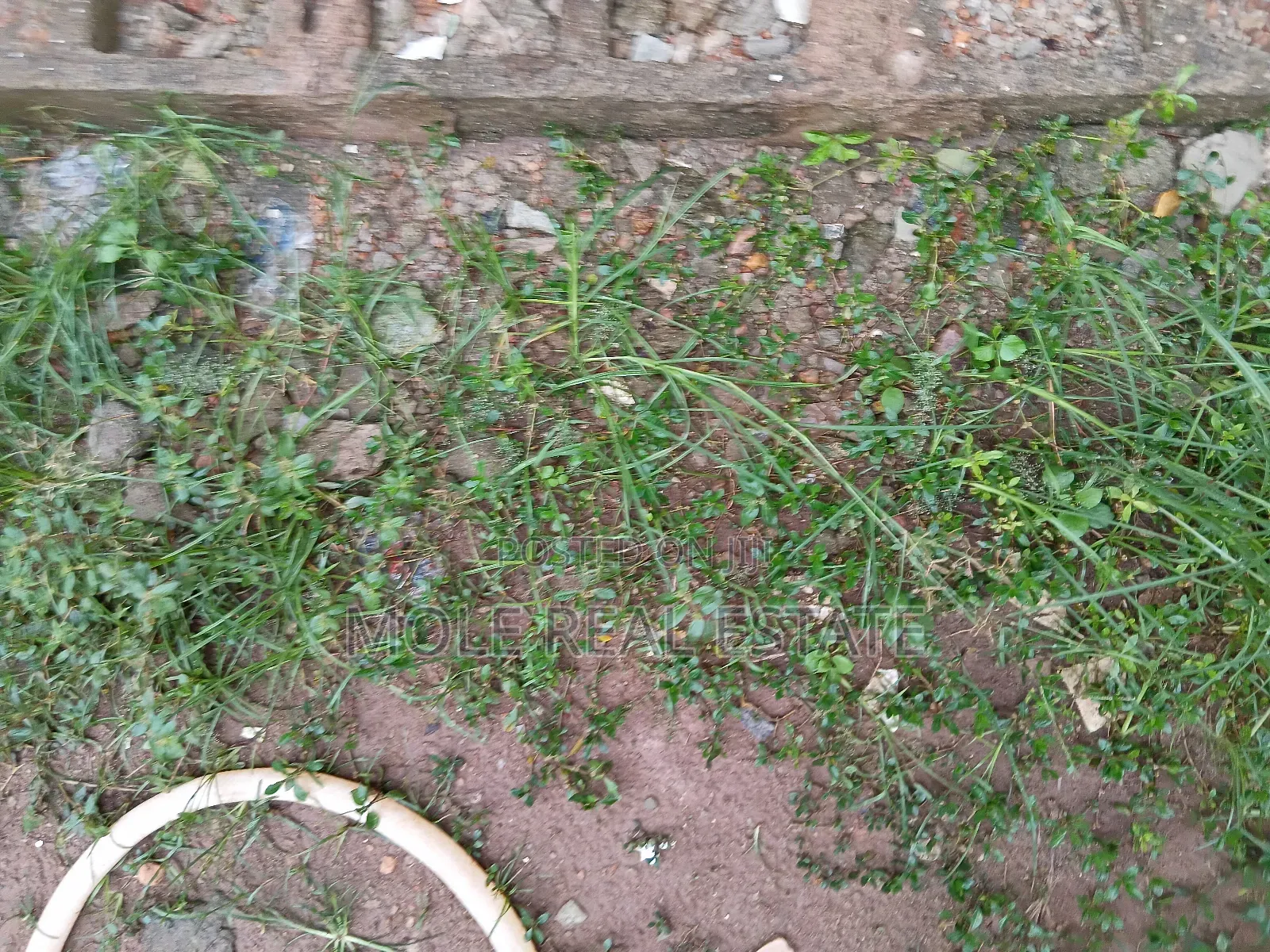 15 Acers Of Water Fronts Ogolonto Ikorodu Lagos in Ikorodu