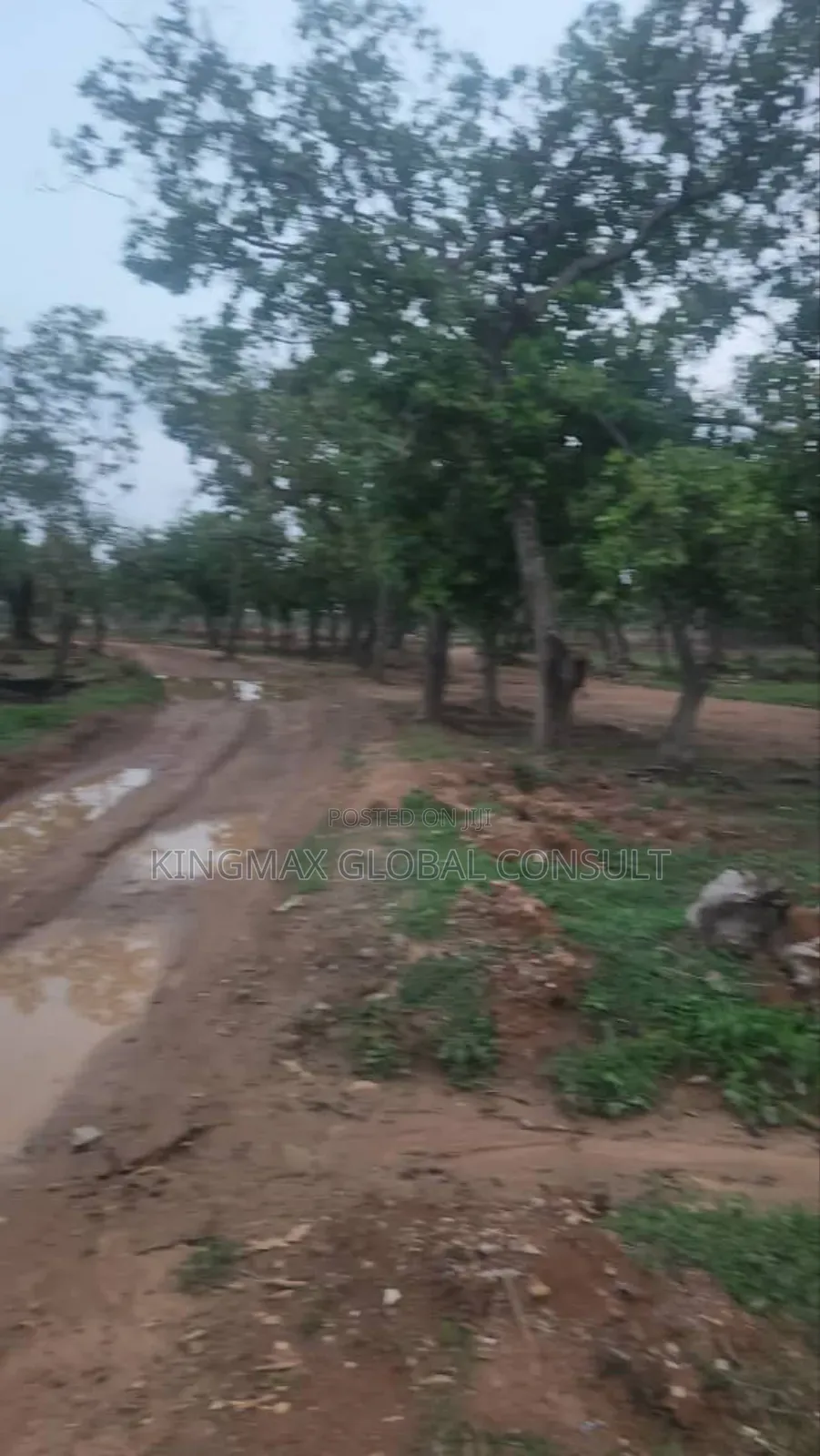 5 Hectares Available in Kagini With Cofo 1.2b in Kagini