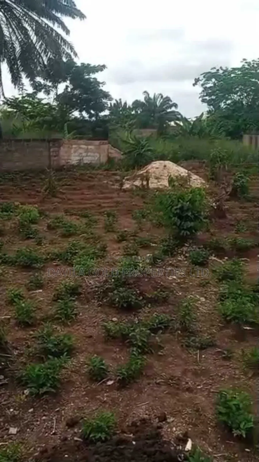 An Accessible Land for Sale in Benin City