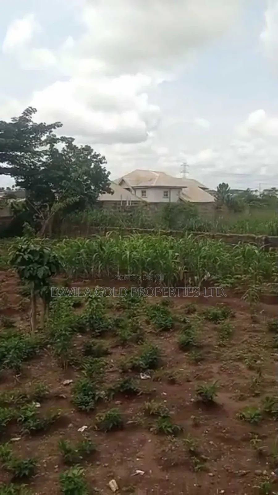 An Accessible Land for Sale in Benin City