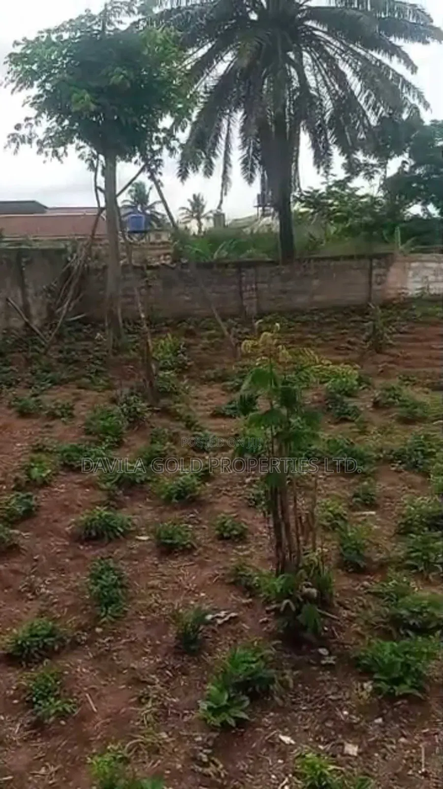An Accessible Land for Sale in Benin City