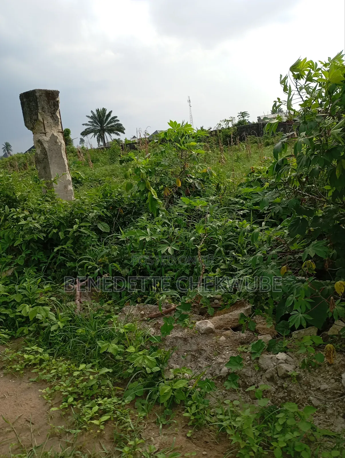 For Sale:30 Plots for Sale in Port-Harcourt