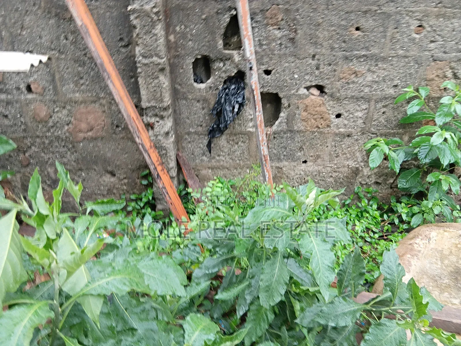 35ft by 100ft Plot 4 Sale Ilepo Ekoro Lagos State in Abule Egba