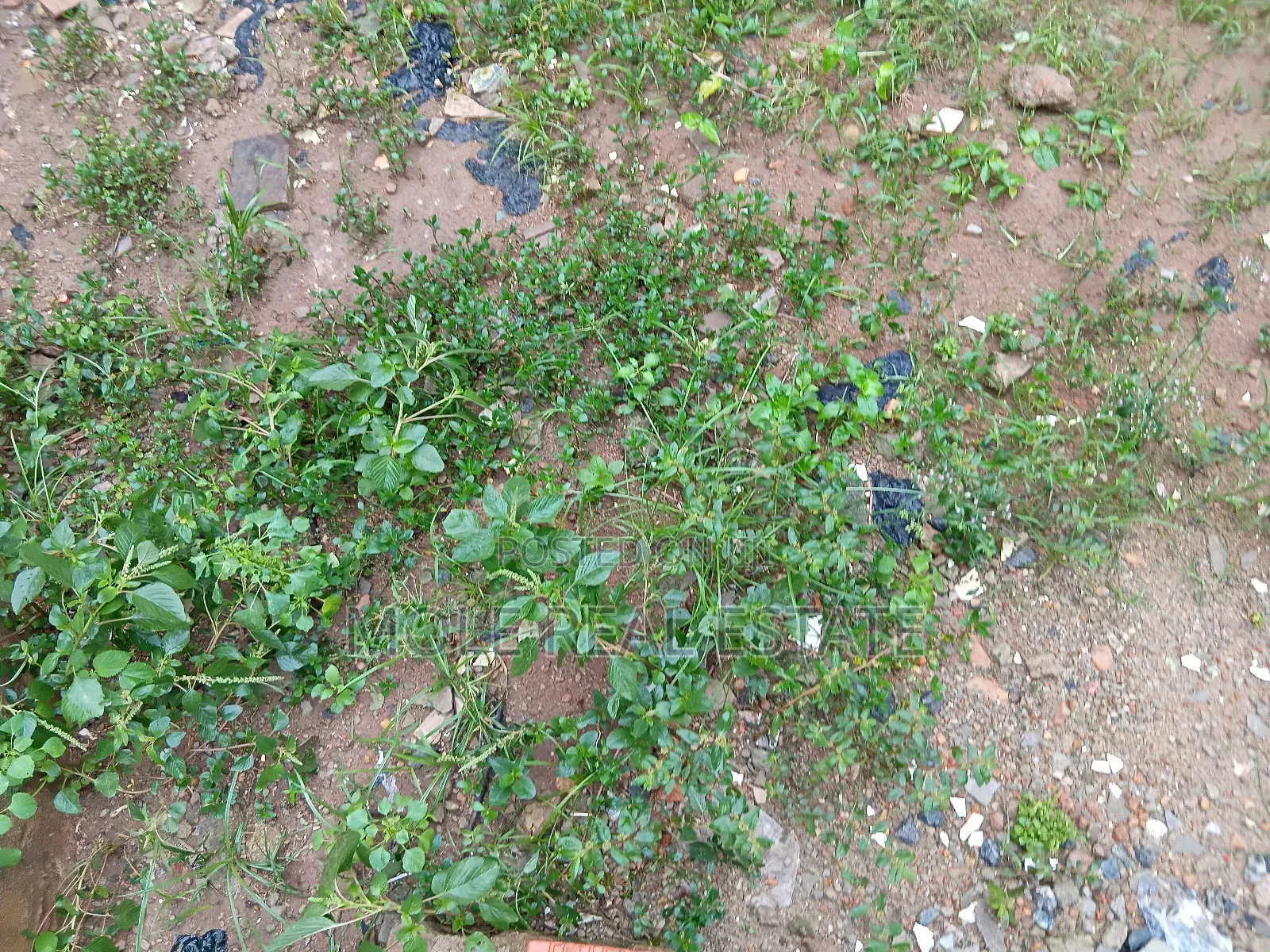 35ft by 100ft Plot 4 Sale Ilepo Ekoro Lagos State in Abule Egba