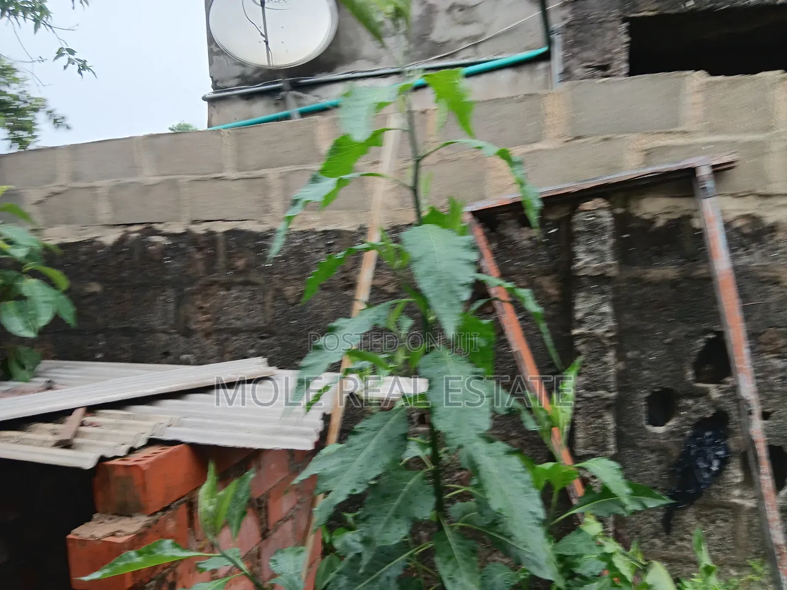 8 300sqm (13 Plots) Shasha Near Airforce Base Alimosho in Shasha