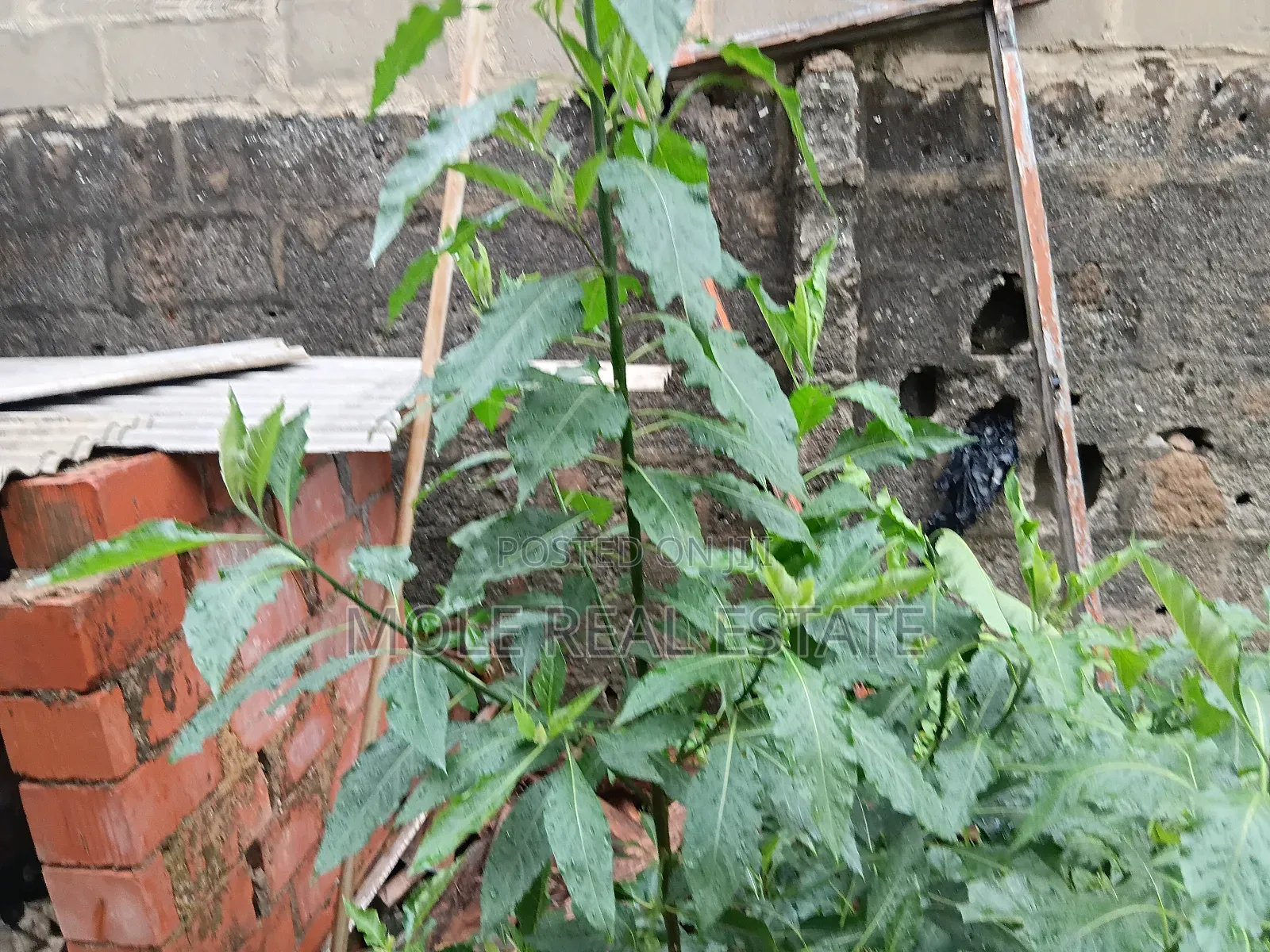 40 Acers Of Water Front Land Ikorodu Lagos in Ikorodu