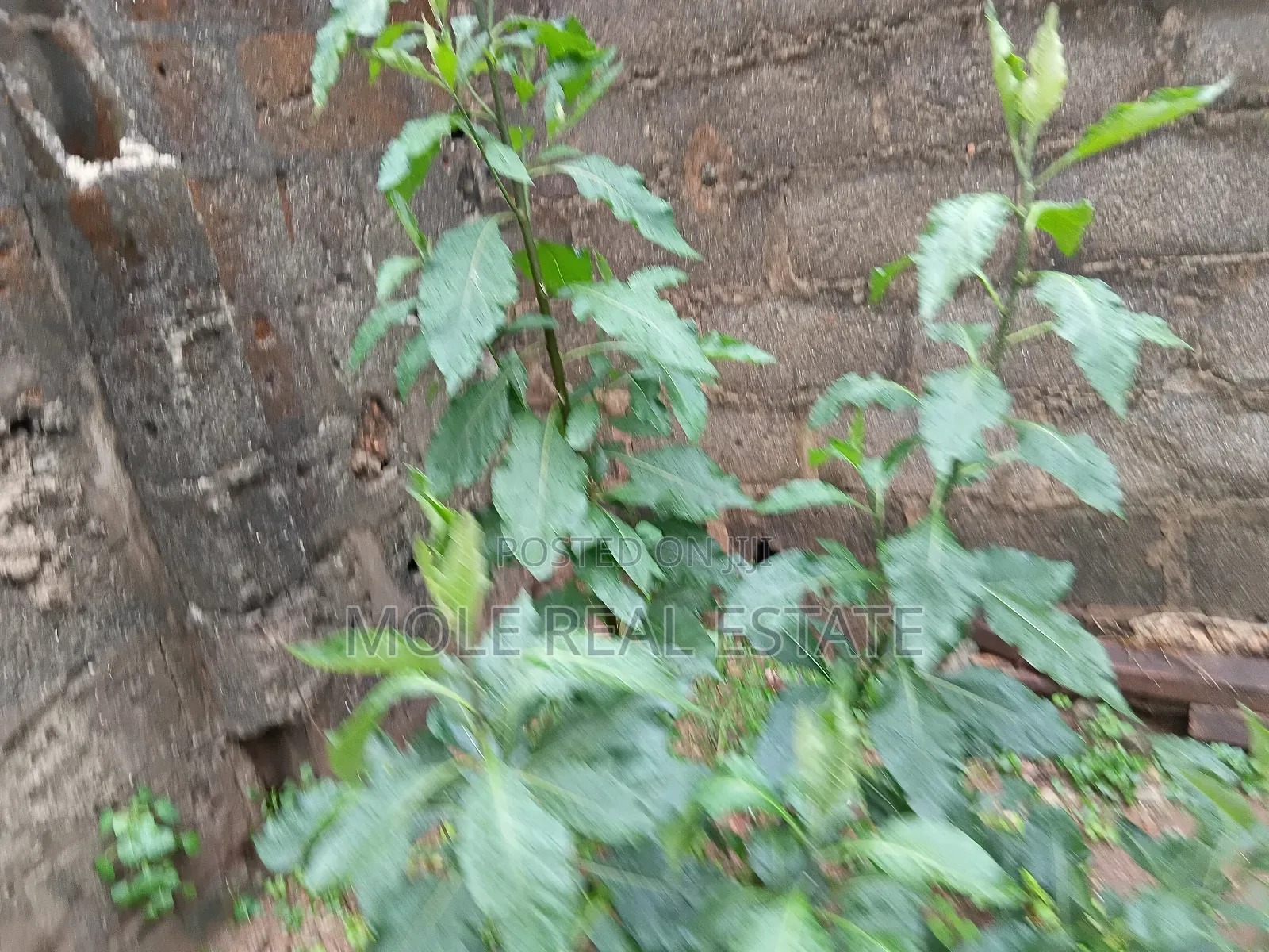 20 Acers Lagosibadan Express B/4 Danco Petrol Station in Obafemi-Owode