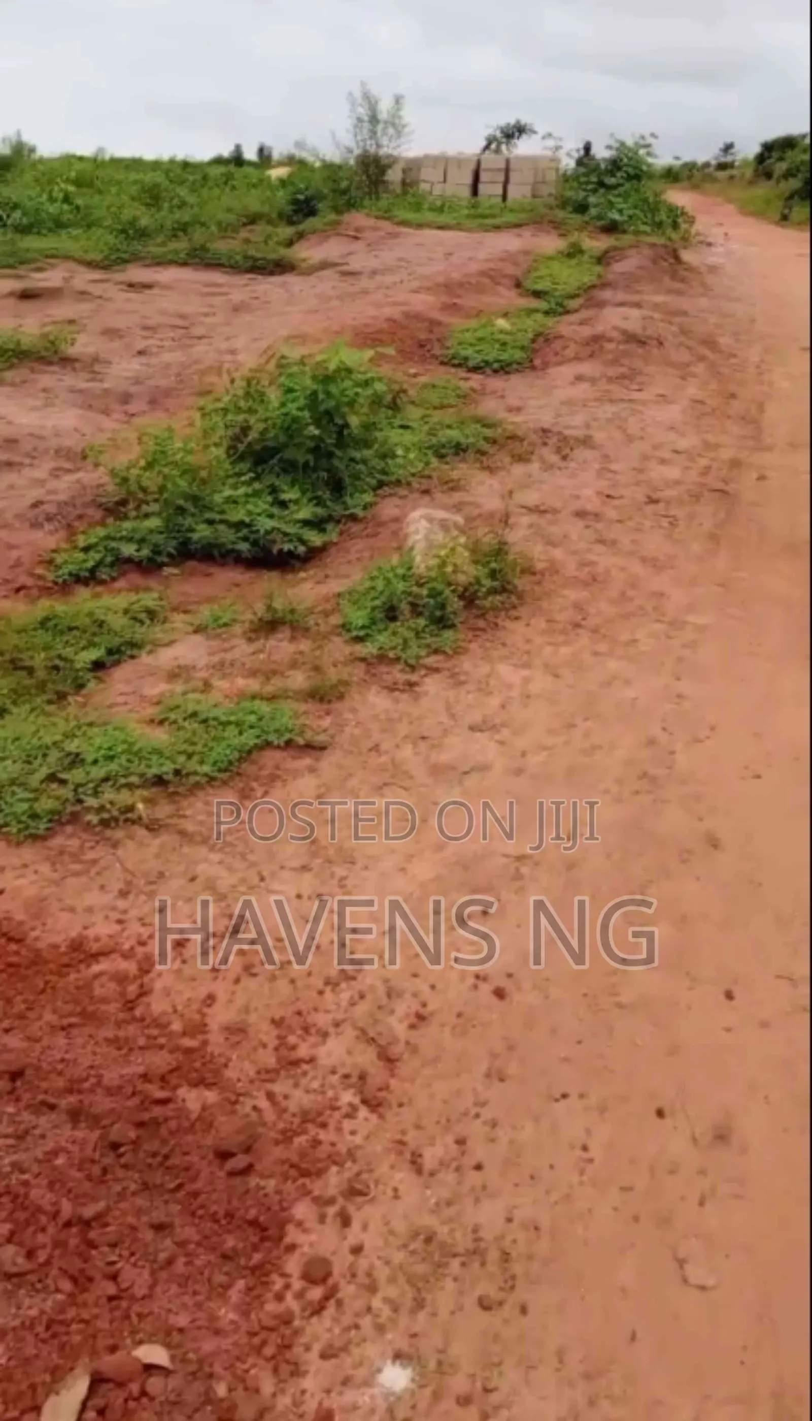Invest in St. Kitts Estate — A Fast-Developing Gem! in Oshimili South