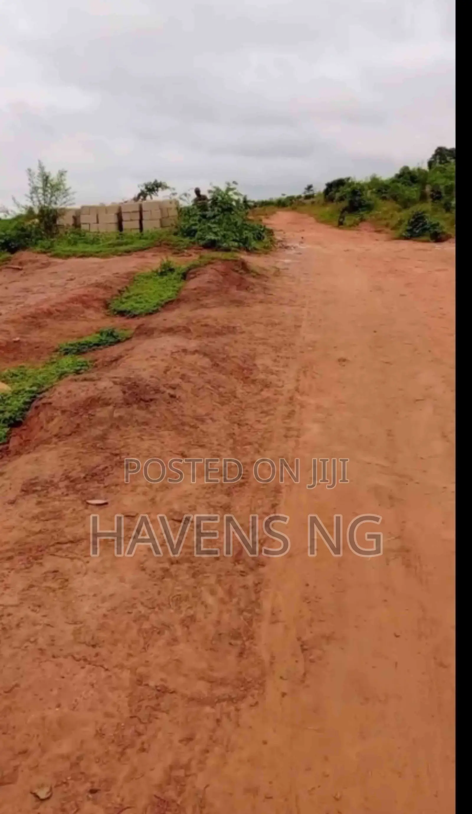 Invest in St. Kitts Estate — A Fast-Developing Gem! in Oshimili South