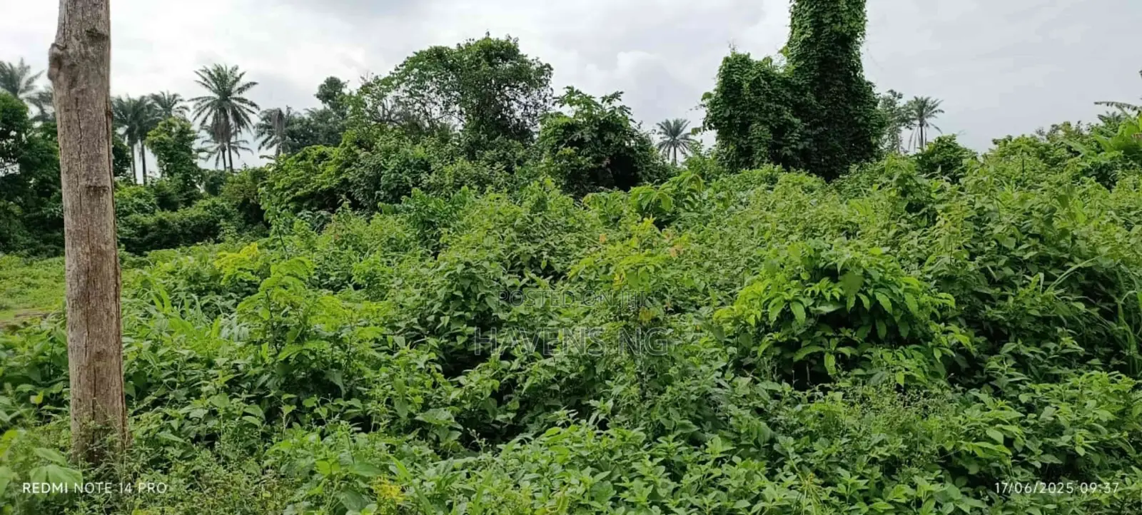 Now Selling — Kings Arena Estate, Badagry, Lagos in Badagry / Badagry