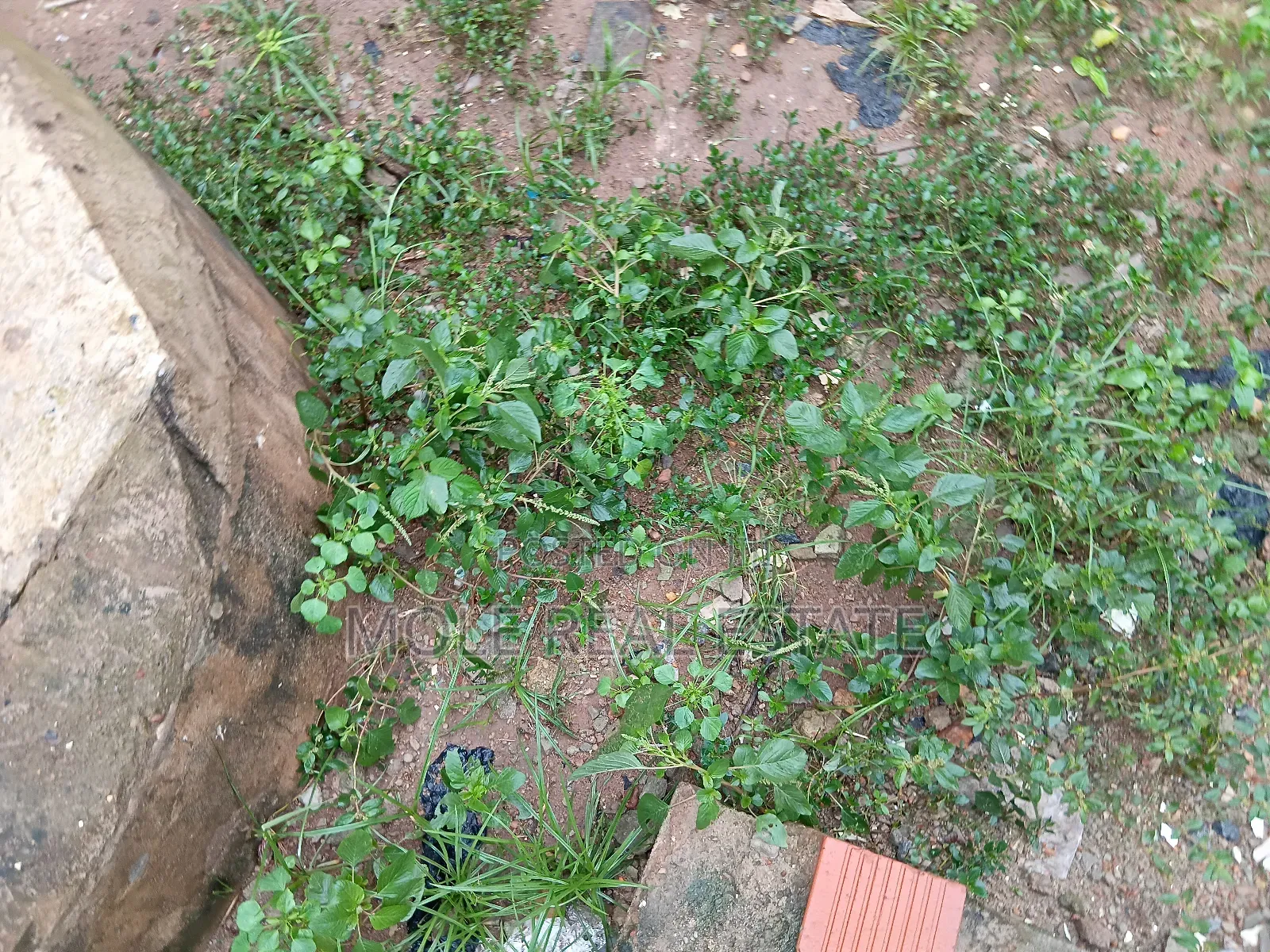 5500sqm Plots Ikoyi Waterfront by Alexander Rd in Ikoyi