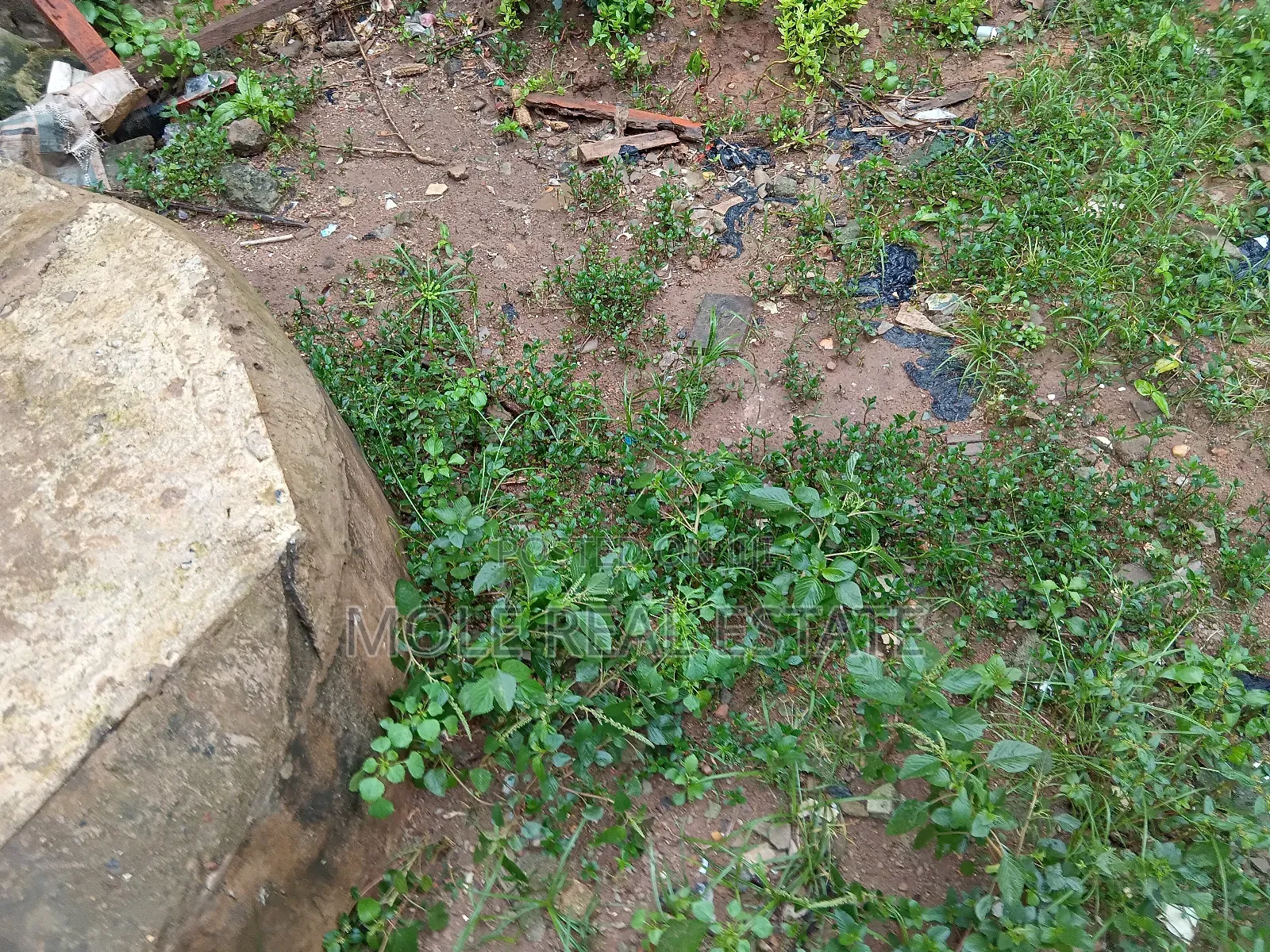 5500sqm Plots Ikoyi Waterfront by Alexander Rd in Ikoyi