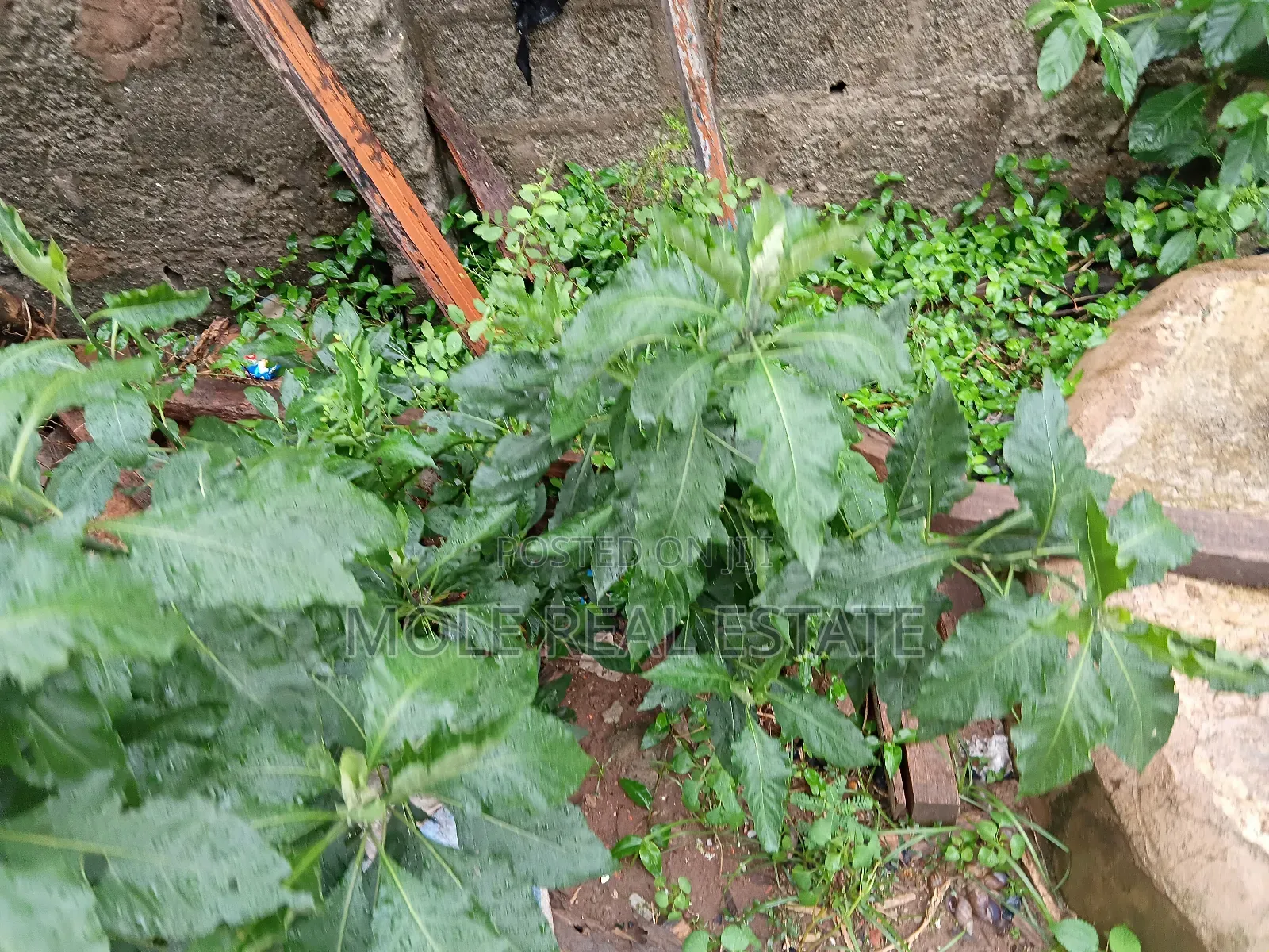2000sqm Waterfront Queens Drive Ikoyi in Ikoyi