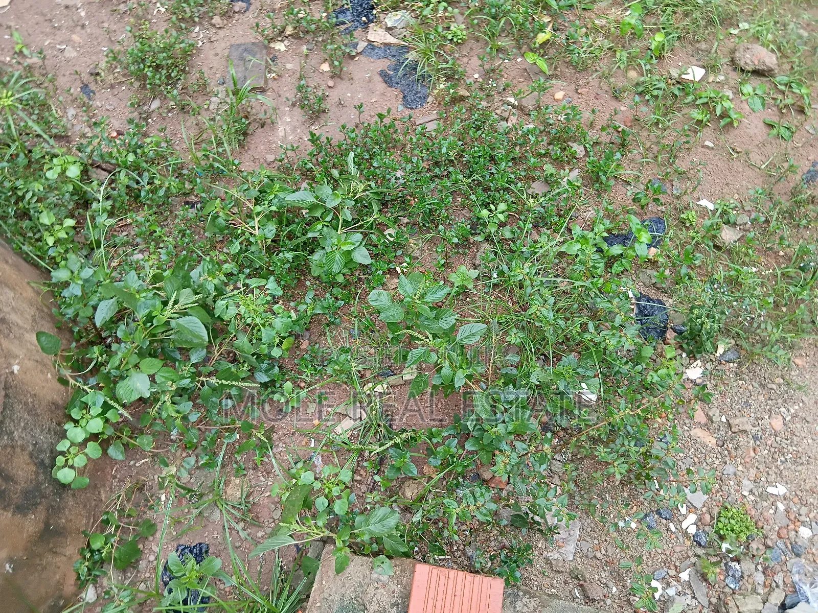 2000sqm Waterfront Queens Drive Ikoyi in Ikoyi