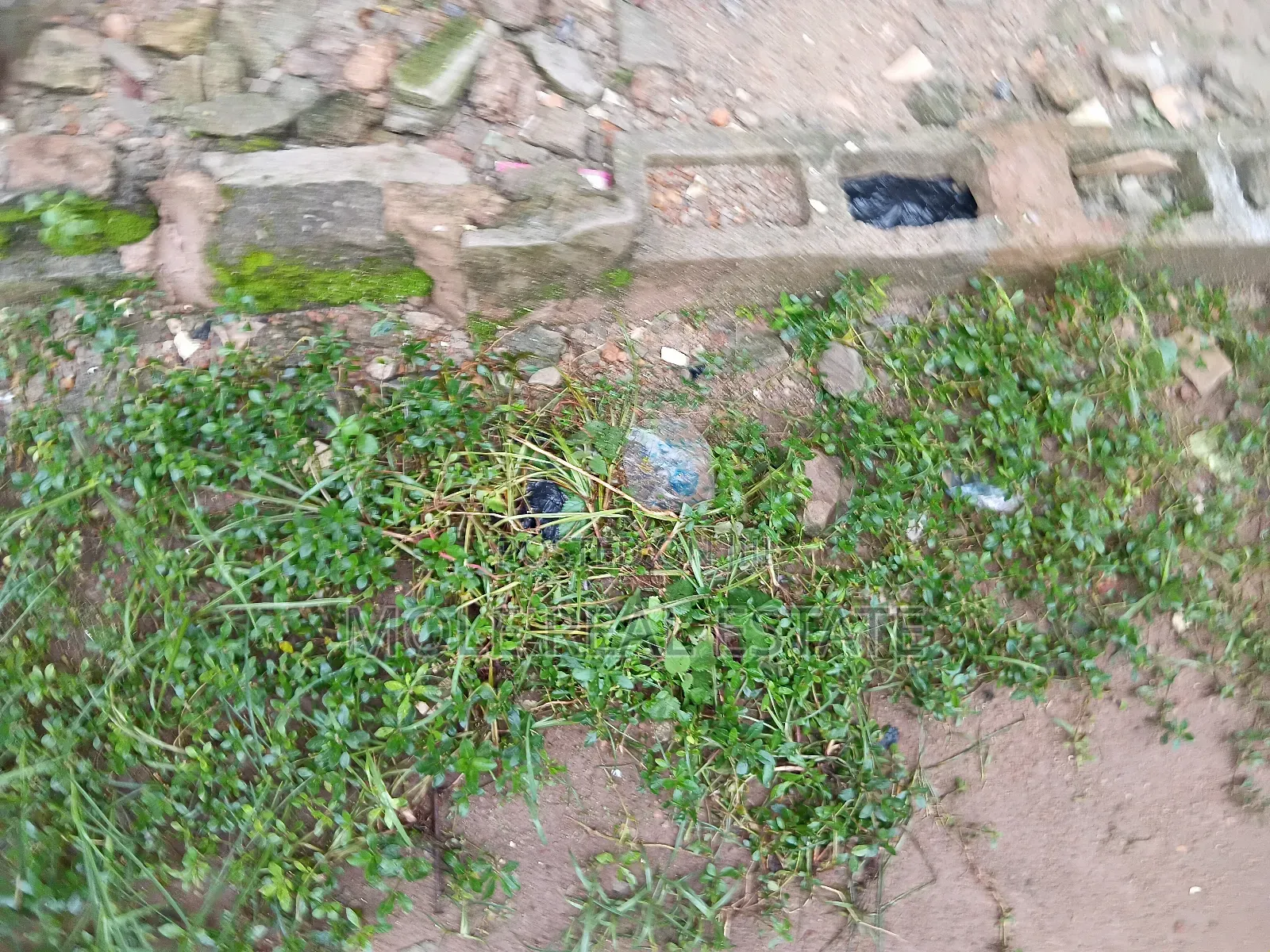 60ft/240ft (2plot ) Eco Bank Ikotun Car Park in Ikotun/Igando