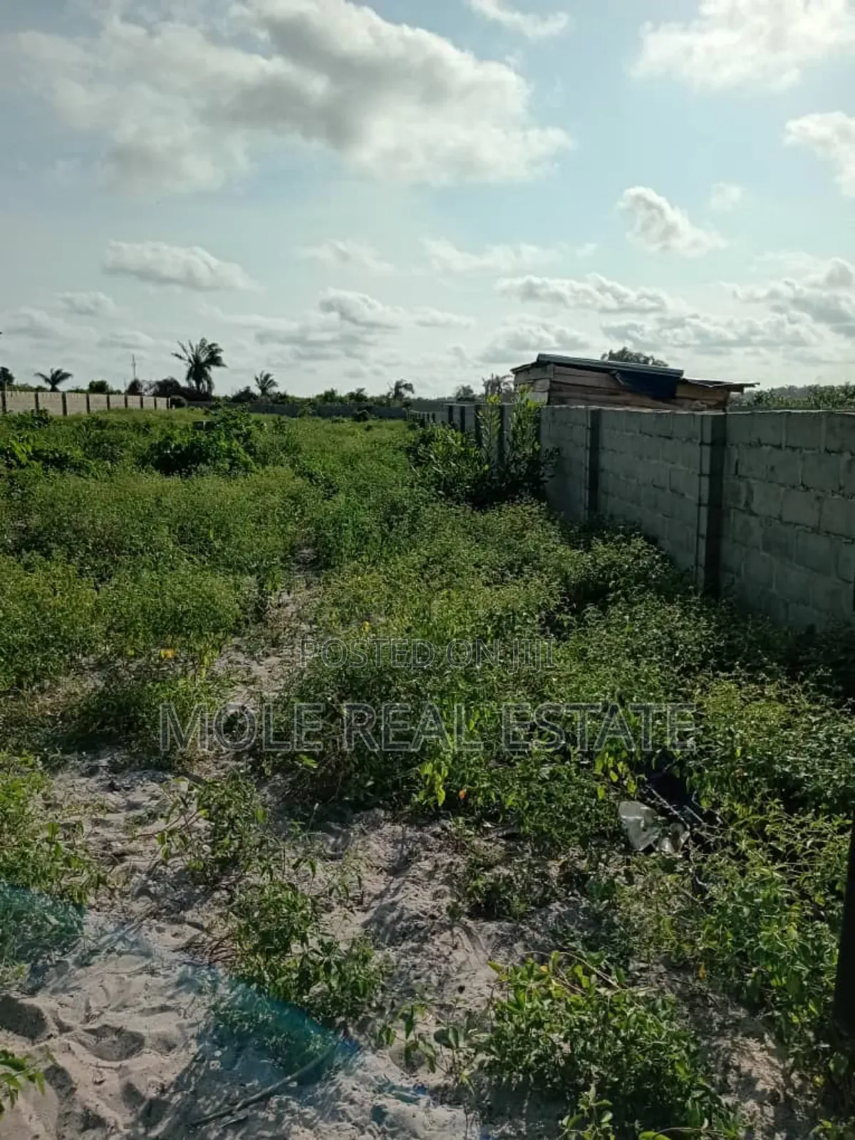 20, 000 Hecters of Land Akodo Dangote Rifinary Ibeju Leki in Ibeju