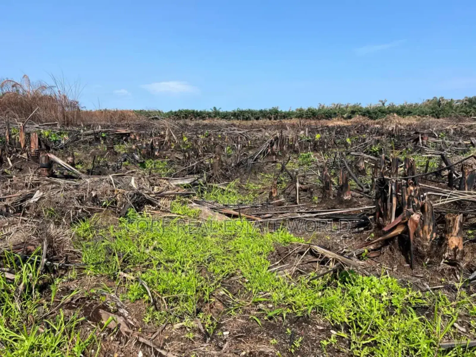 Genuine Dry Land in Eleko