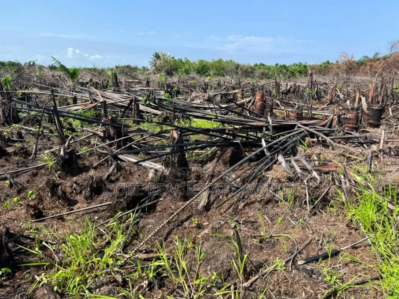 Genuine Dry Land in Eleko
