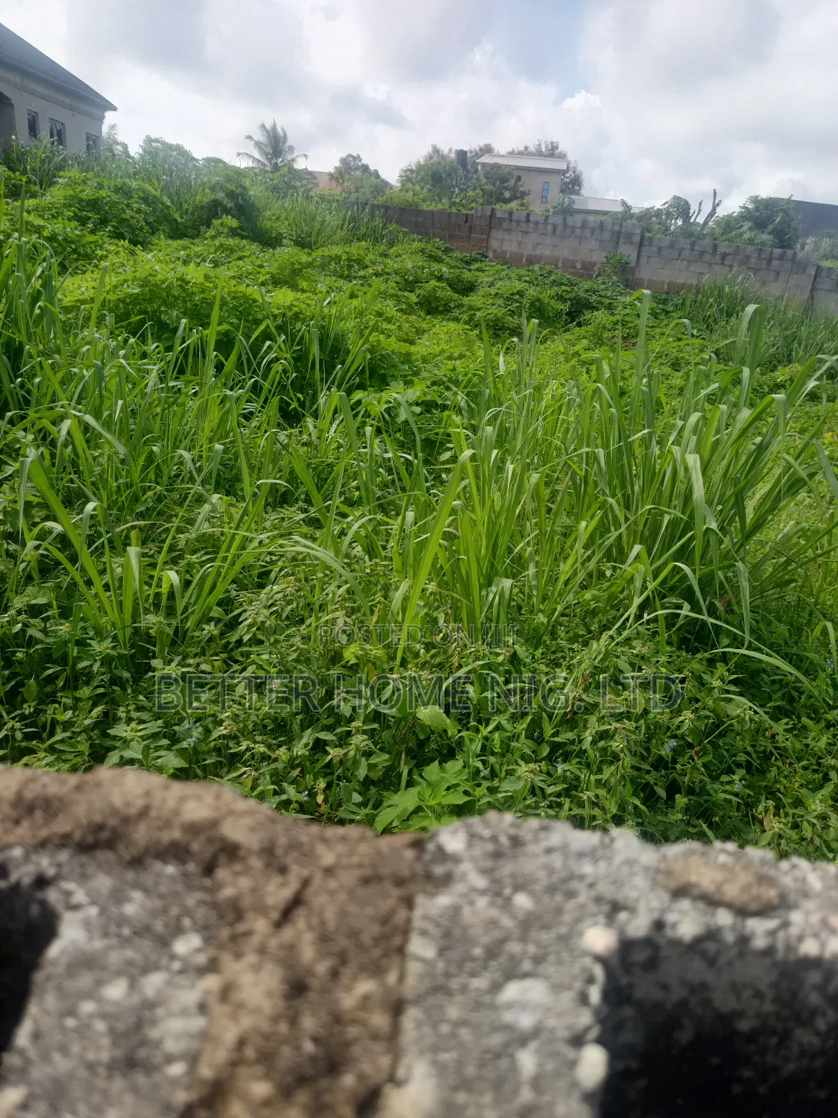 Standard Plot of Land in Oluyole