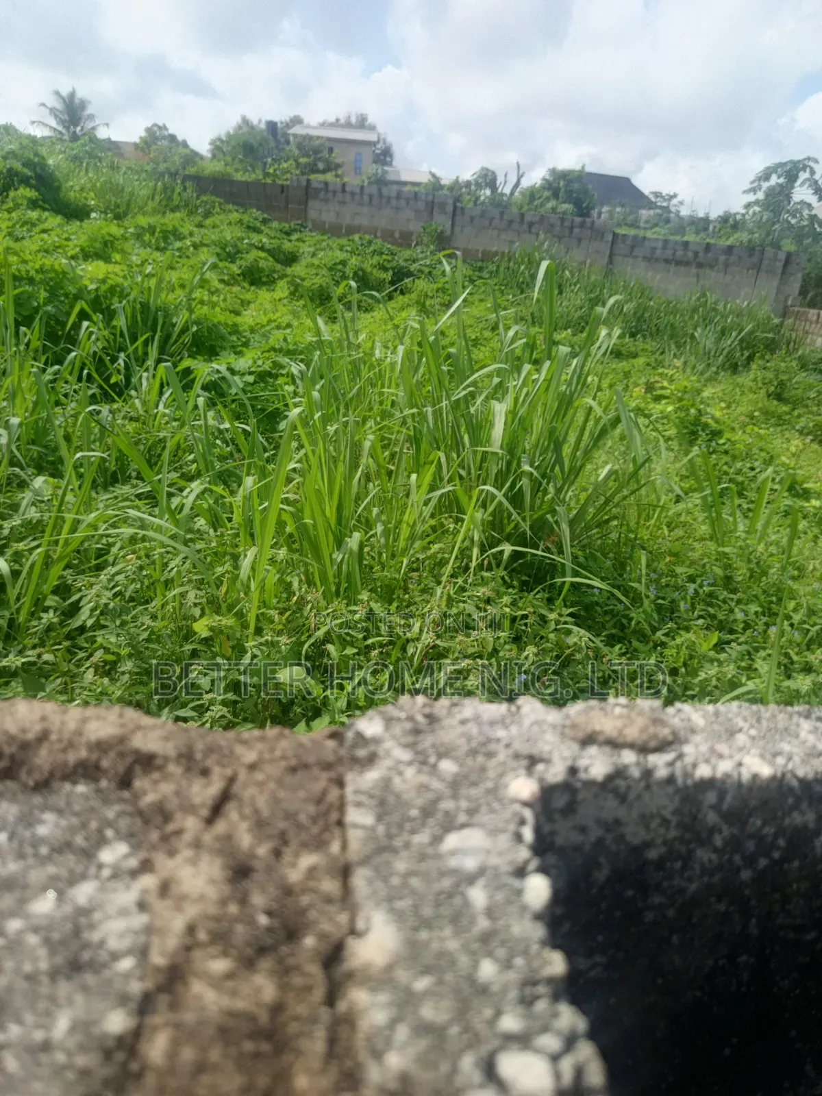 Standard Plot of Land in Oluyole